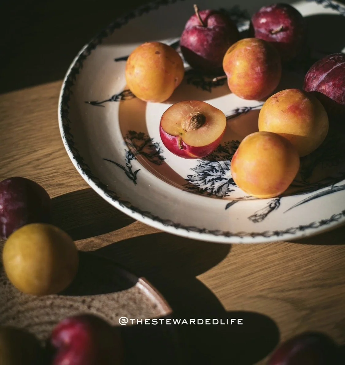 The Stewarded Life™
Quiet visions for a stewarded life.
Curated. Considered. Reverent.