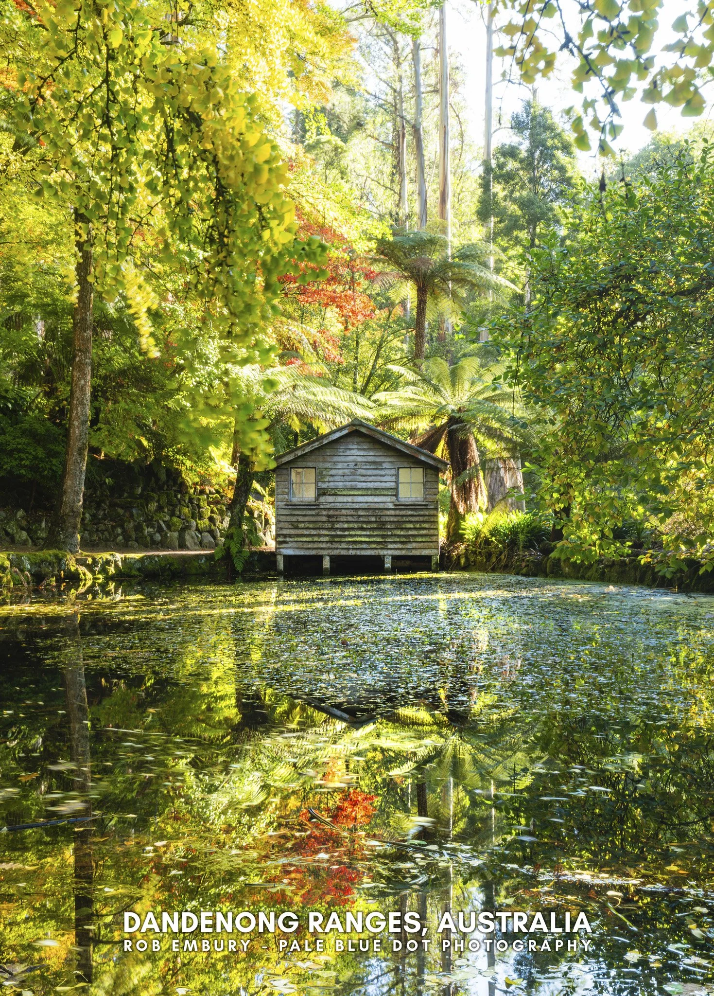 Alfred Nicholas Gardens.jpg