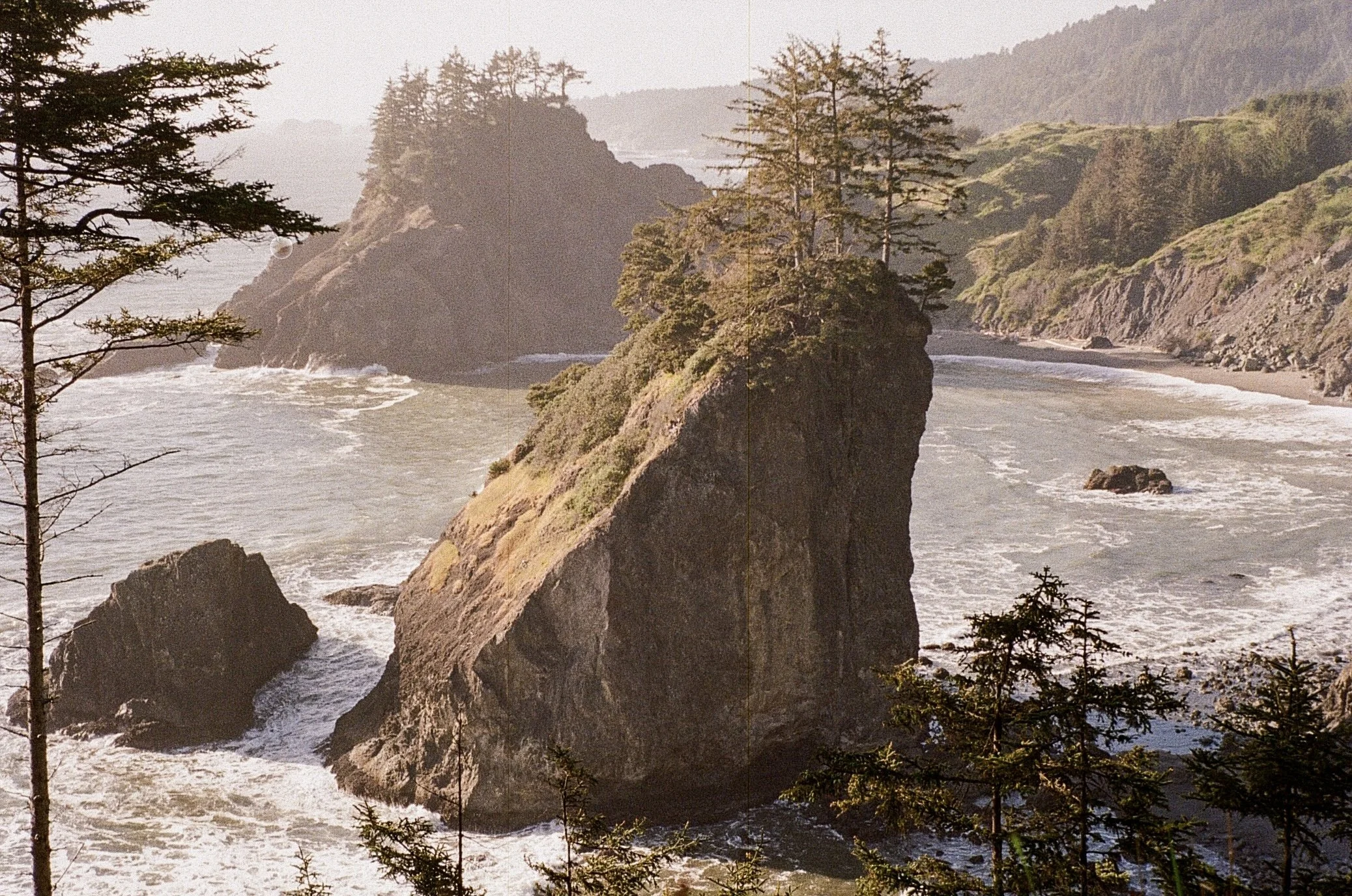 Nature