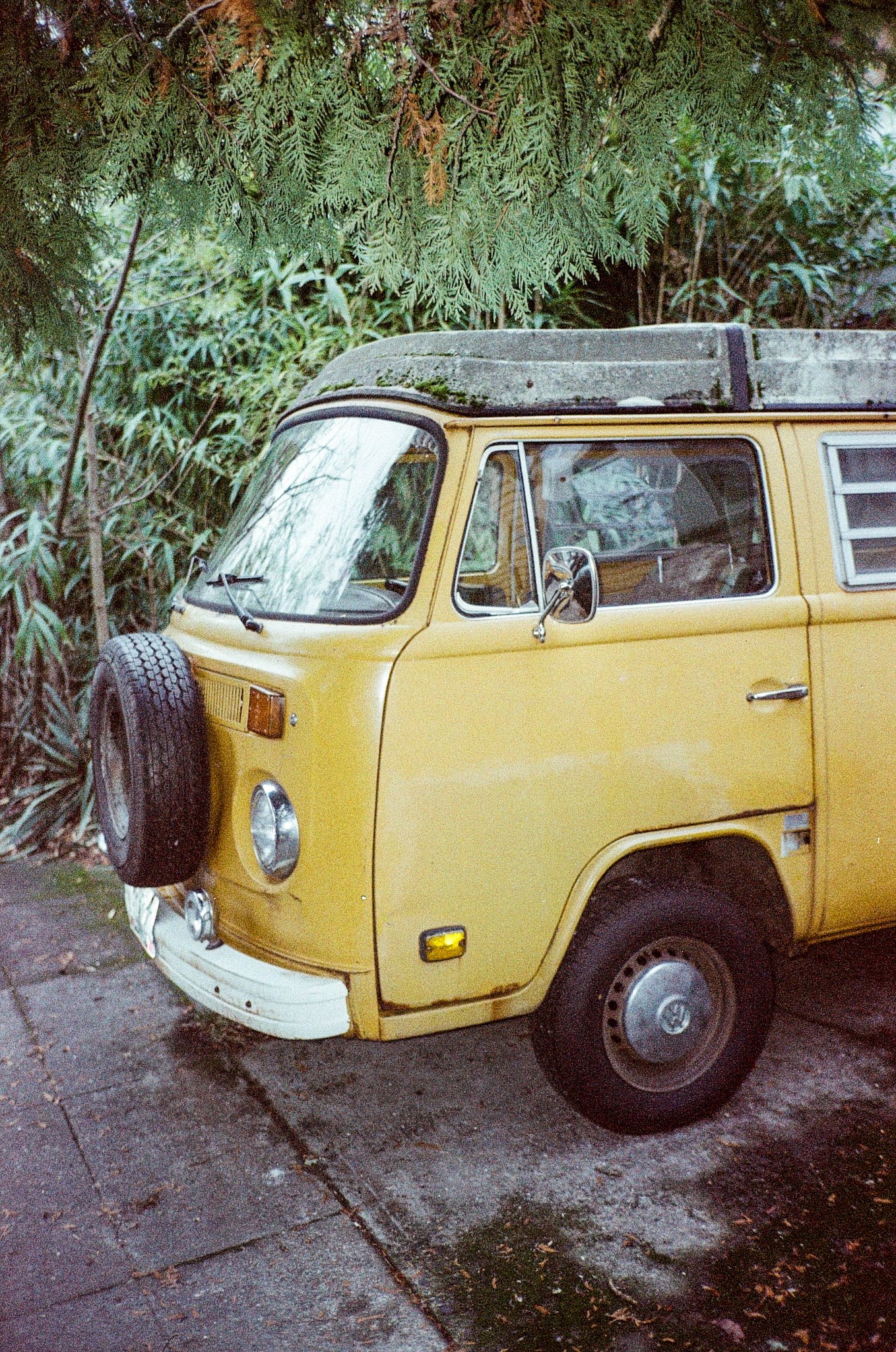 000025120036.jpg
