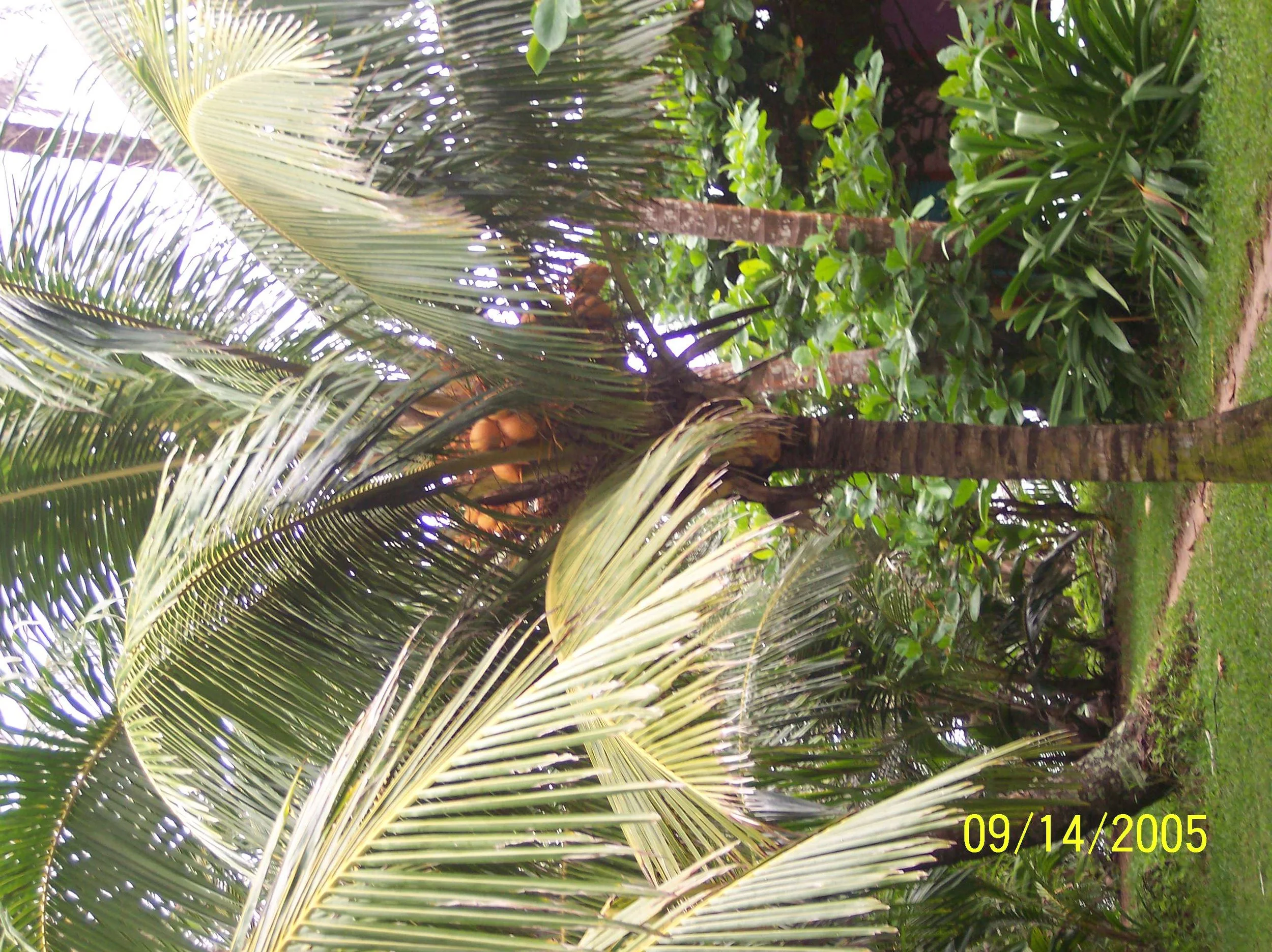 100_0984.jpeg