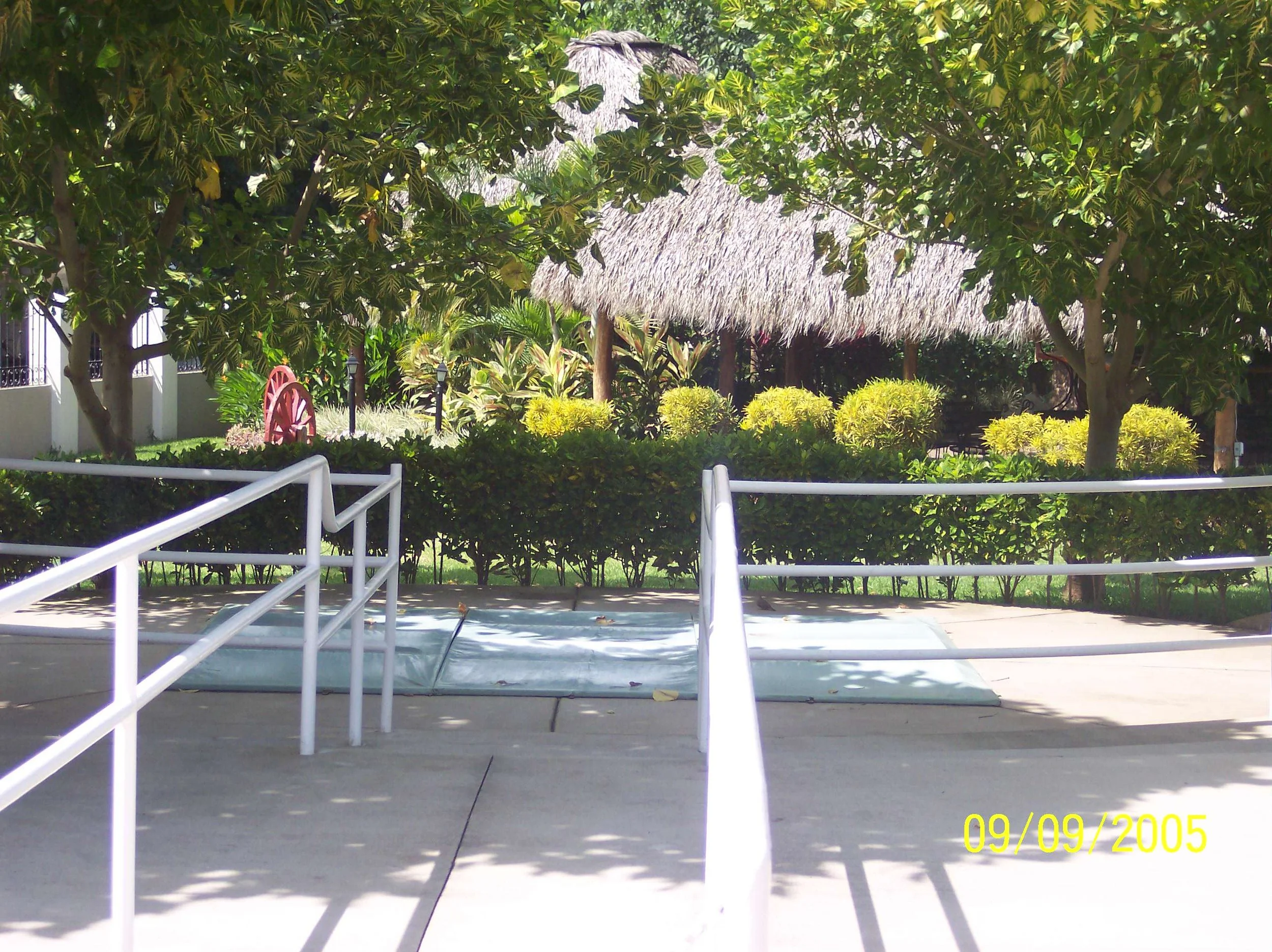 100_0894.jpeg