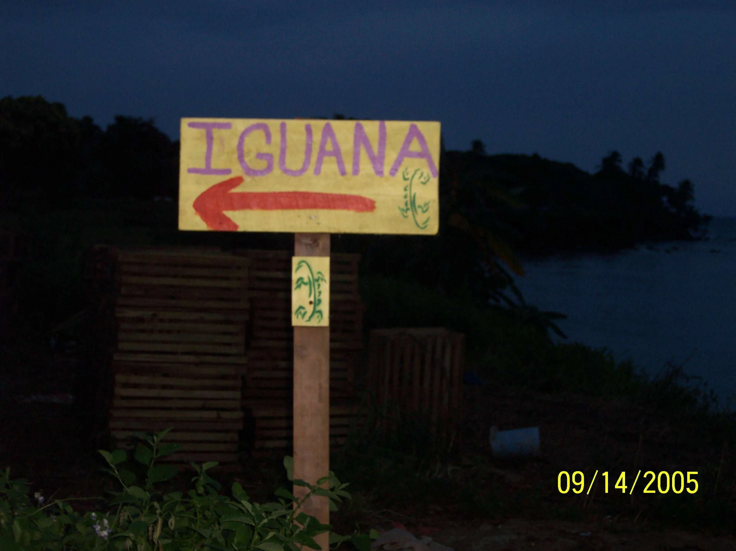 100_1028.jpeg