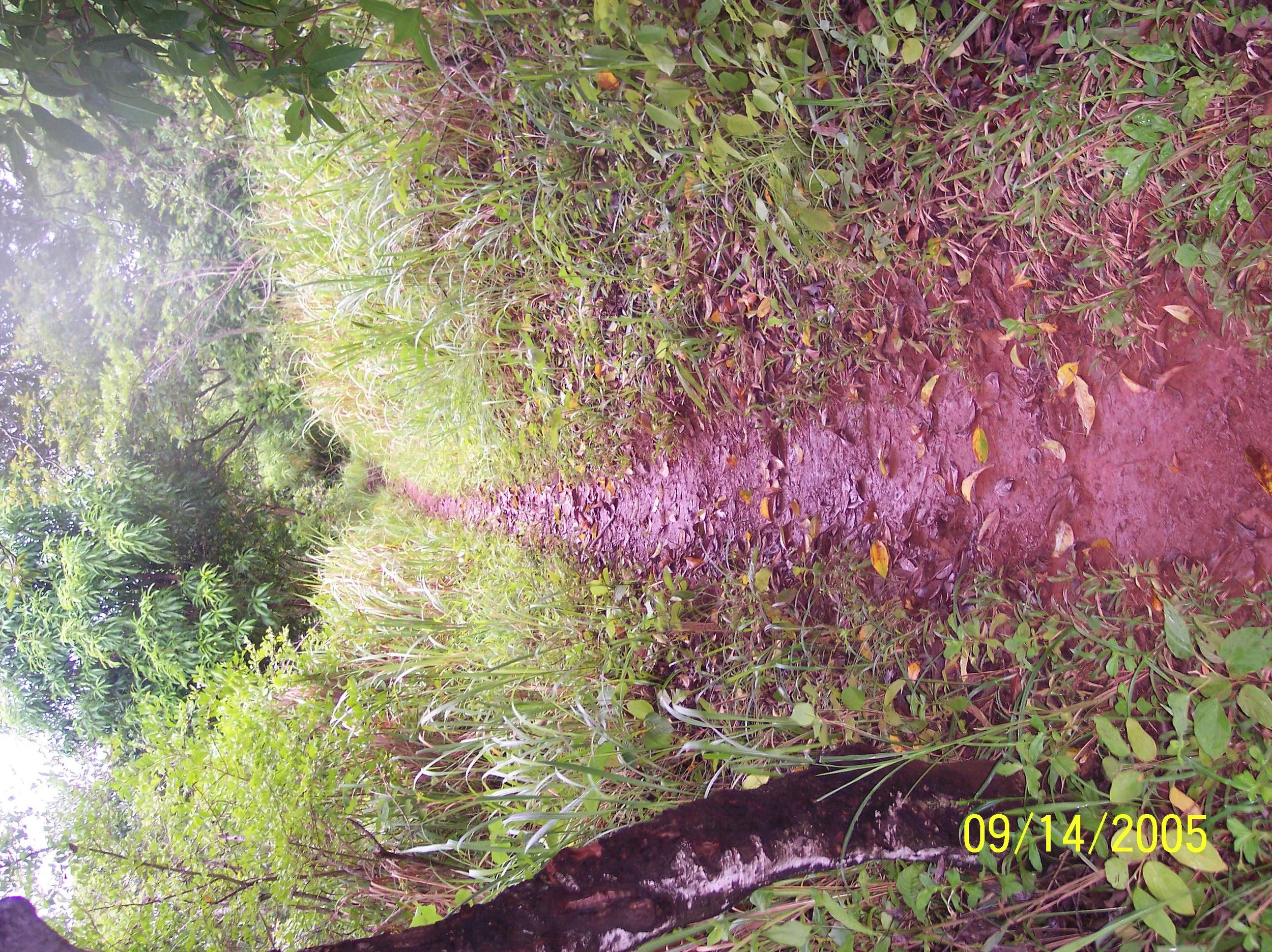 100_1007.jpeg
