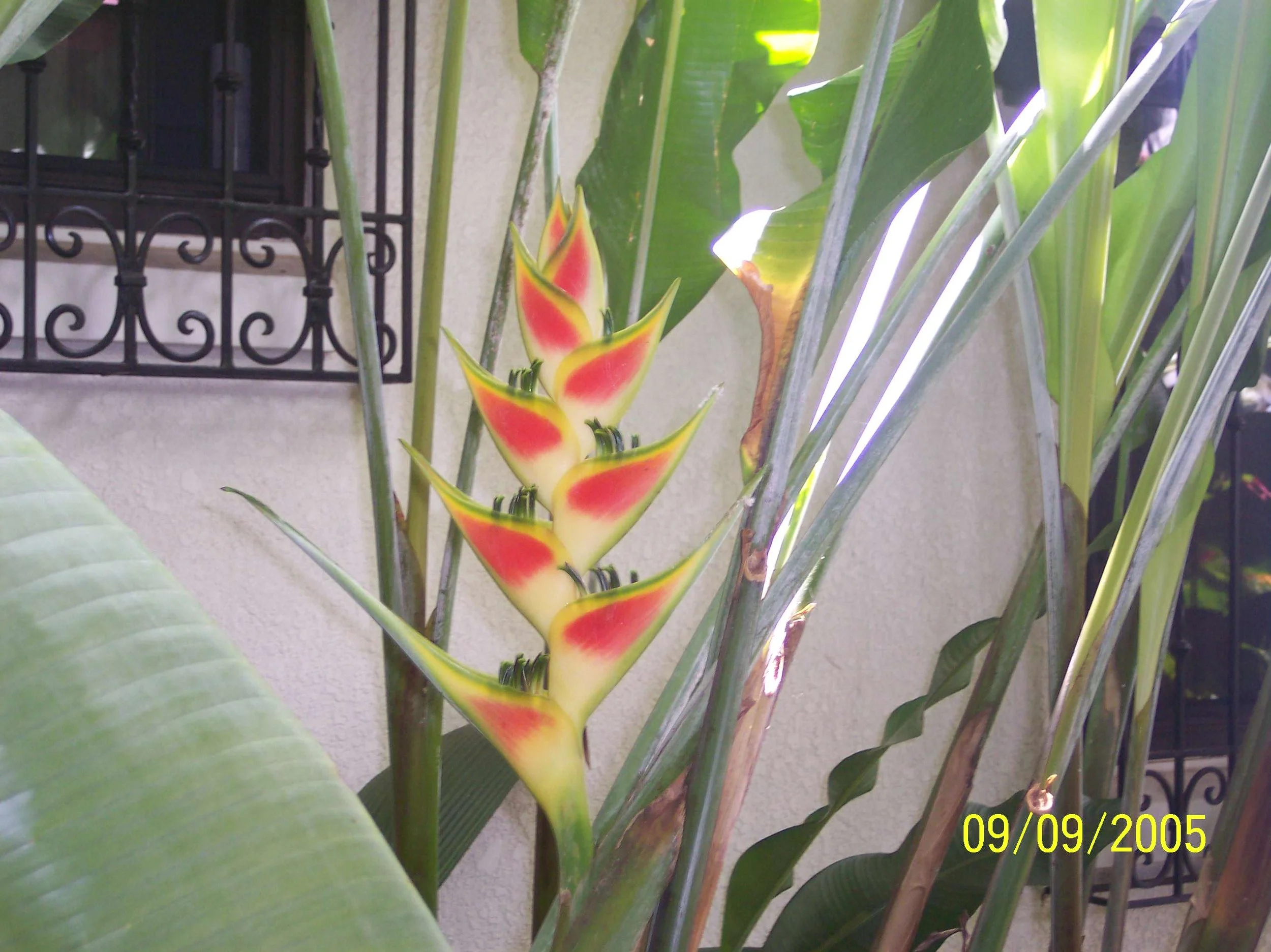 100_0888.jpeg