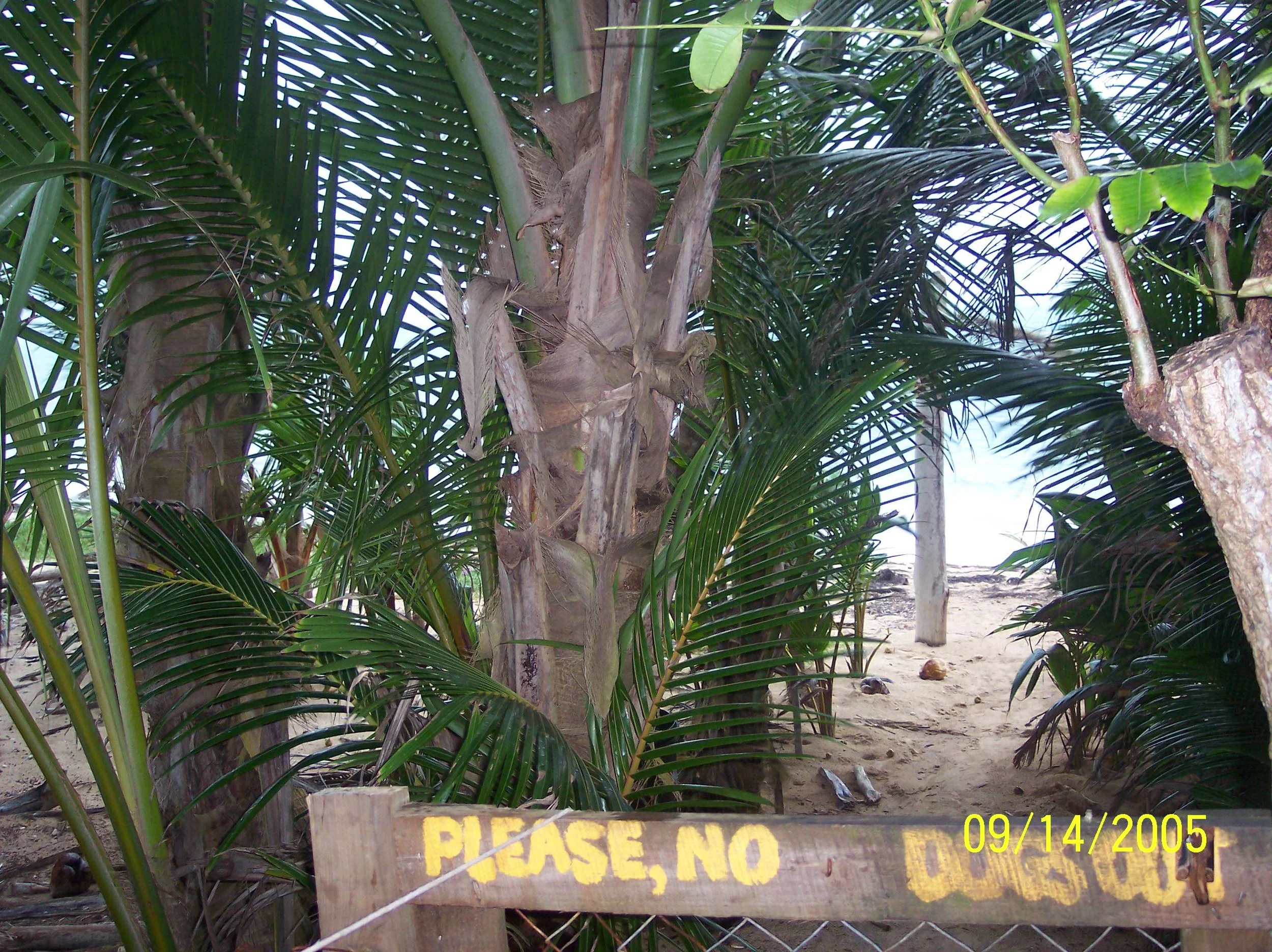 100_0996.jpeg