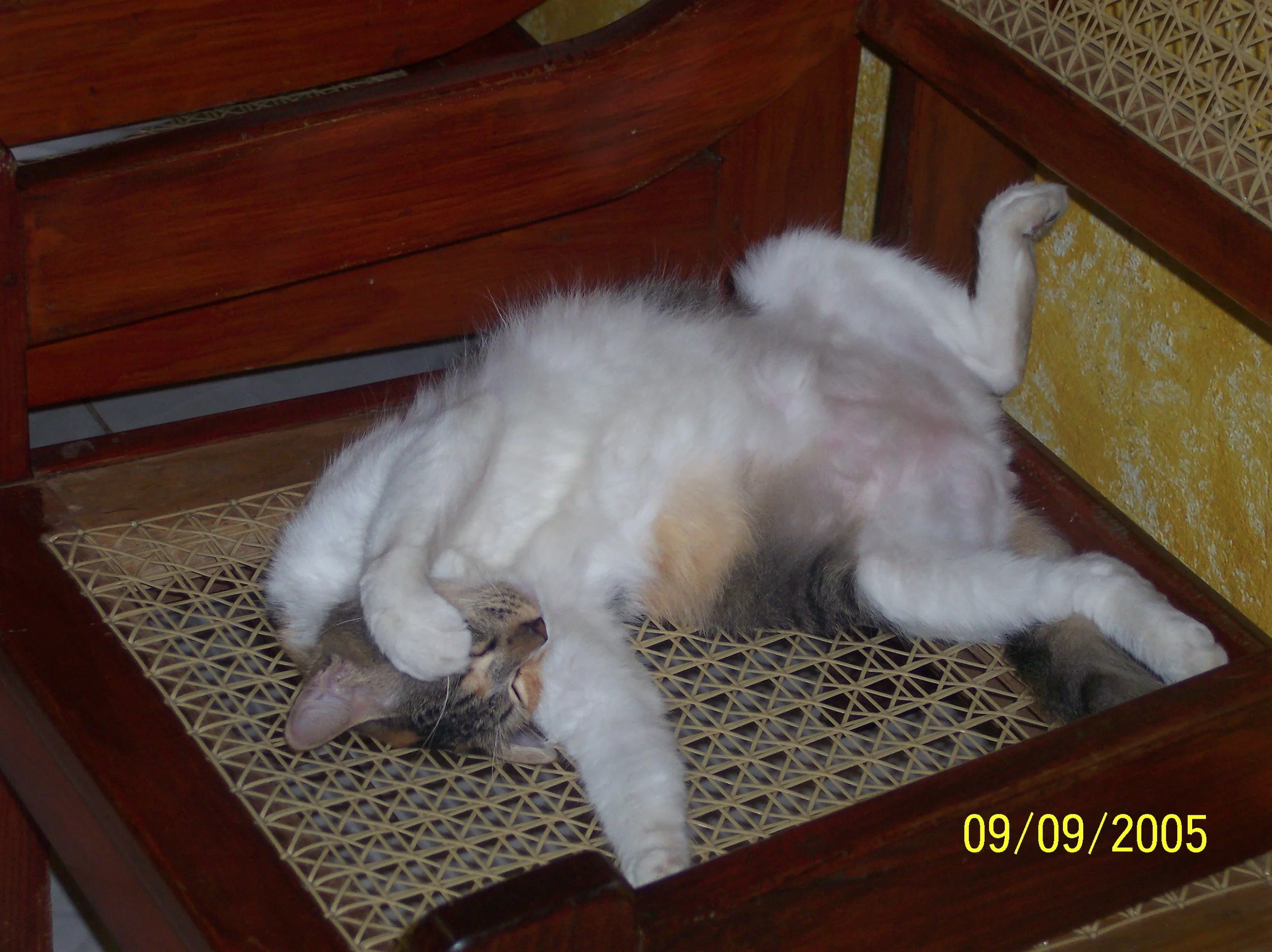 100_0876.jpeg