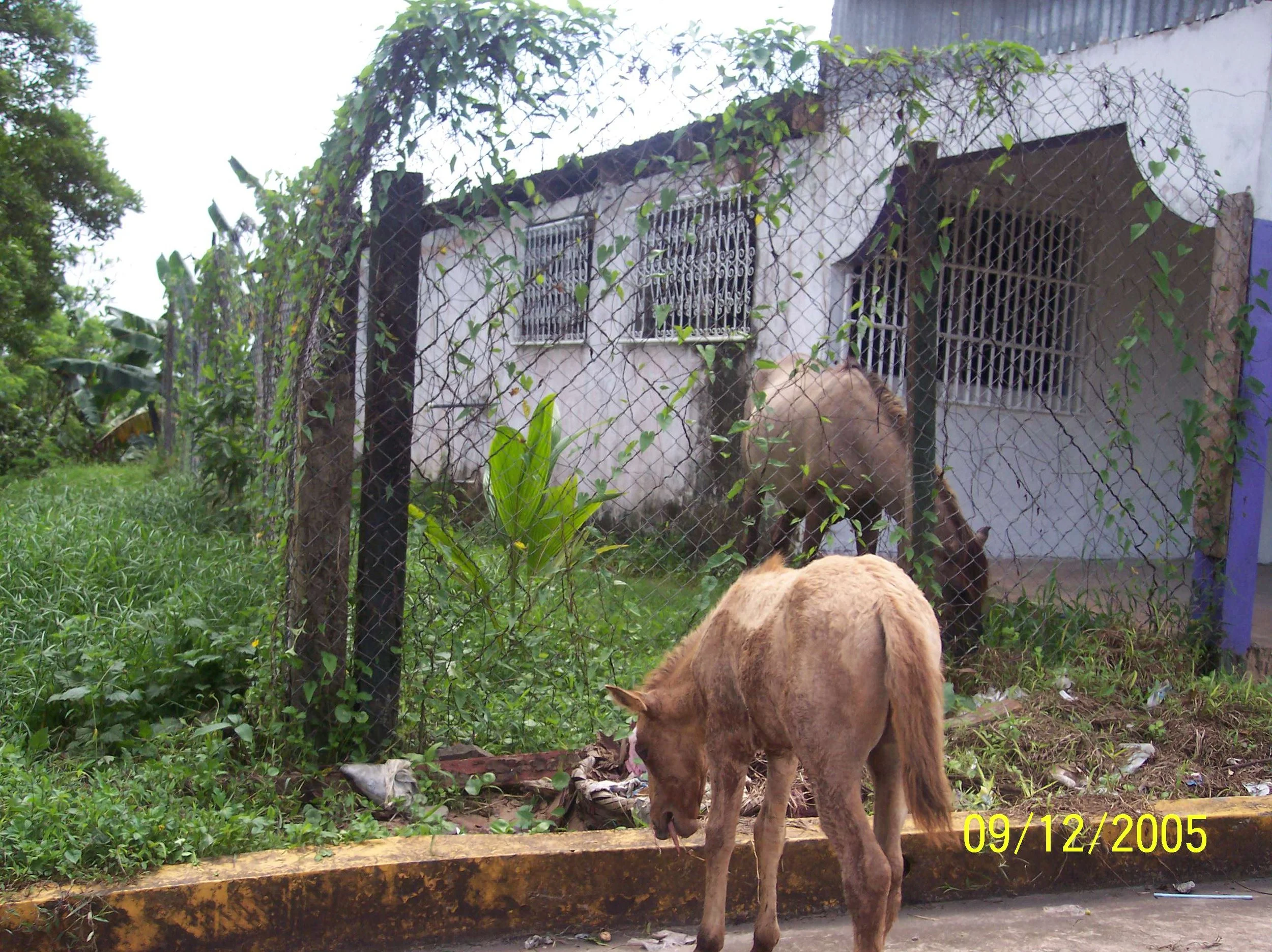 100_0940.jpeg