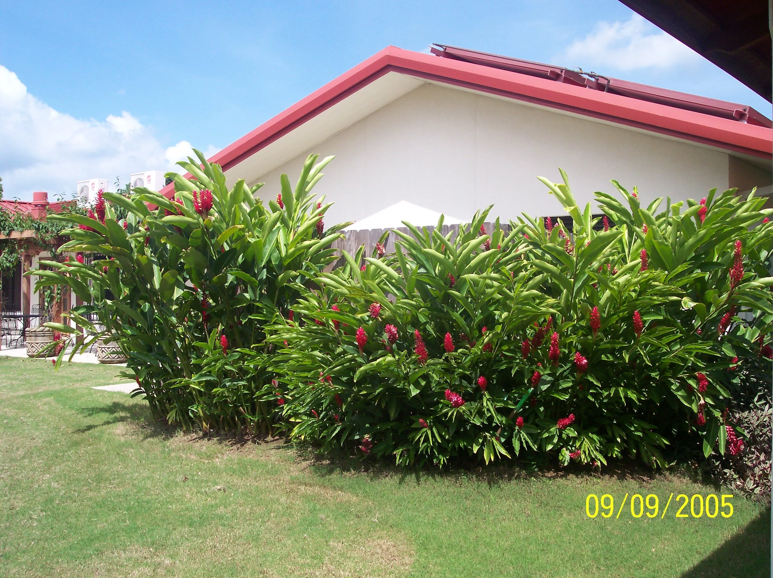 100_0887.jpeg