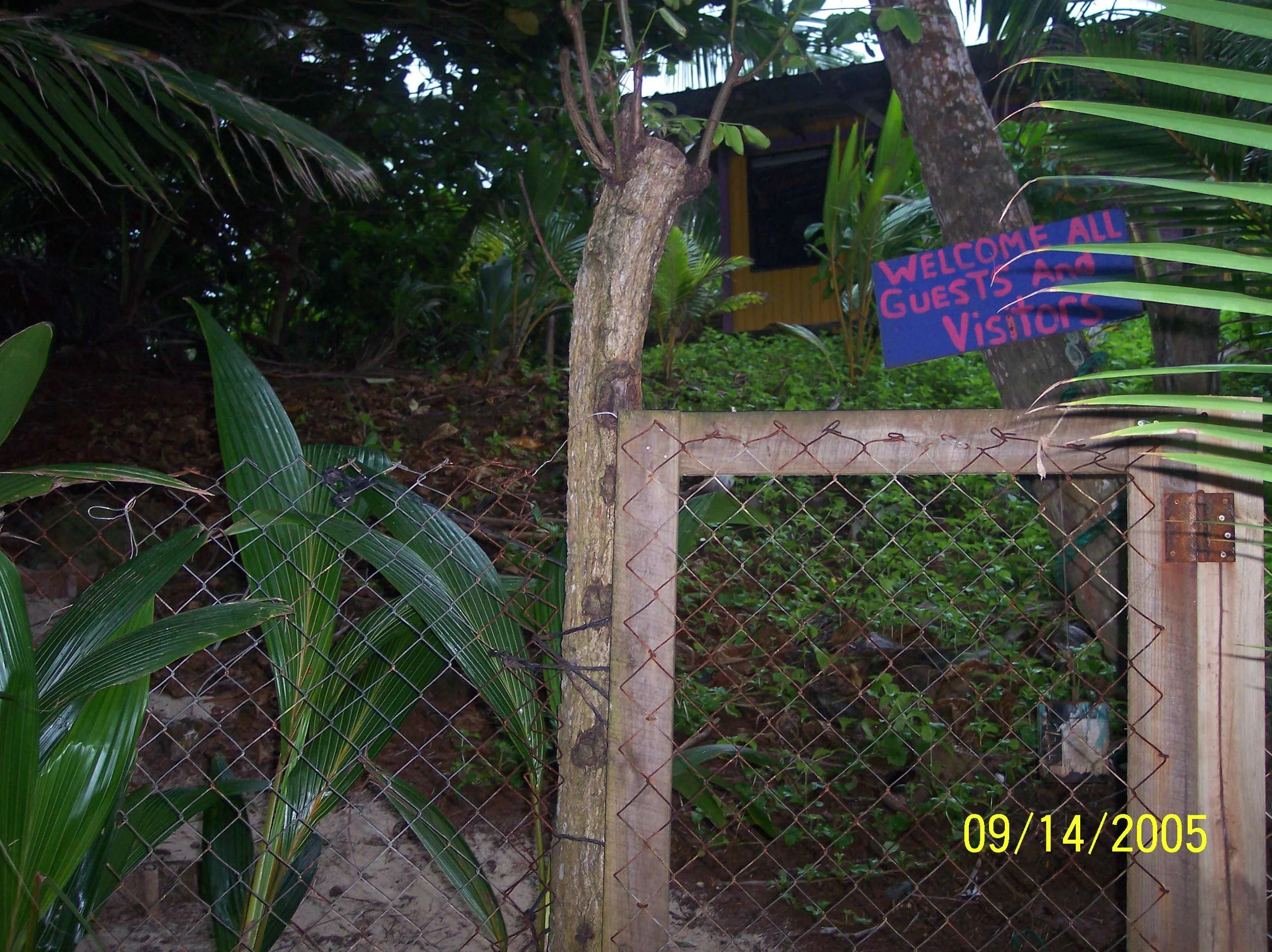100_0994.jpeg