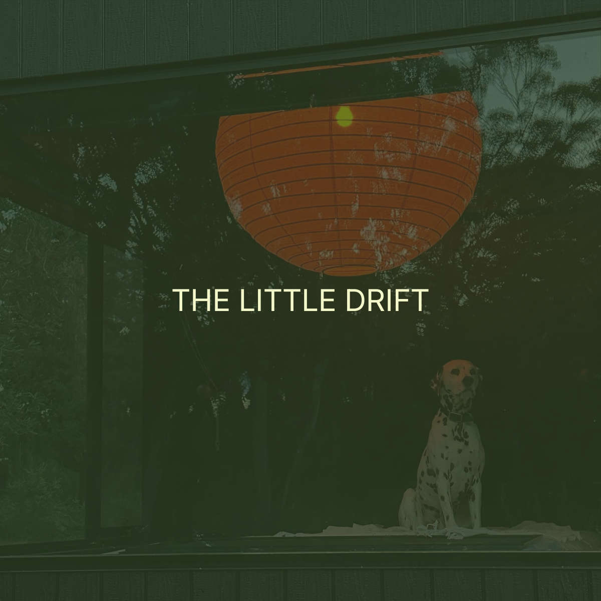 A Dalmatian dog sitting inside a house near a window, with a large orange paper lantern hanging from the ceiling and trees visible outside.