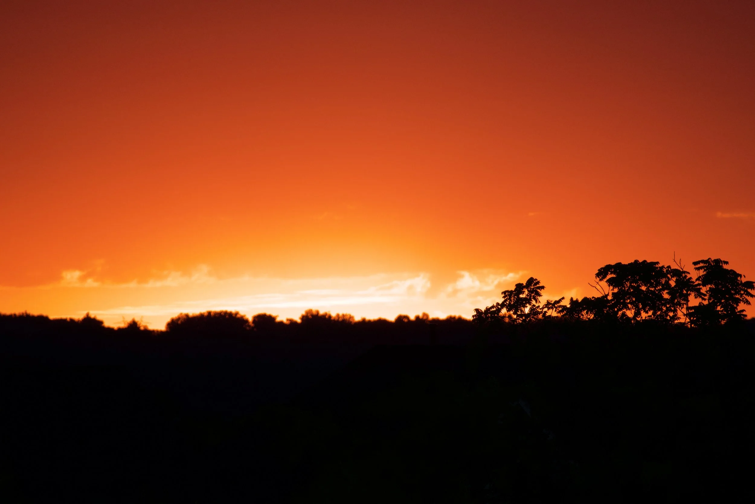 IMG_1371 2.jpeg