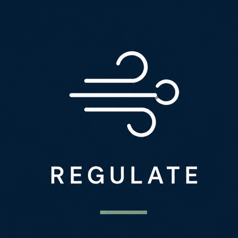 A logo with a stylized wind symbol and the word "REGULATE" below it, set against a dark background.