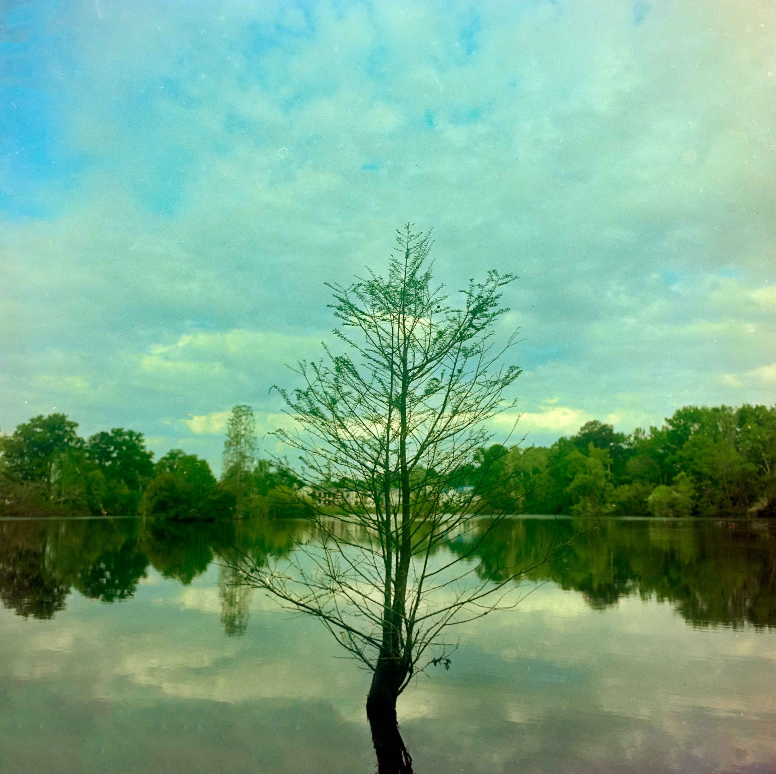North Augusta, SC