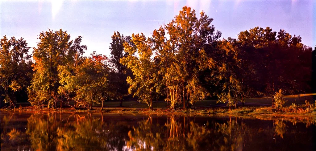 Gold200_120FIlm_Test_4.jpg