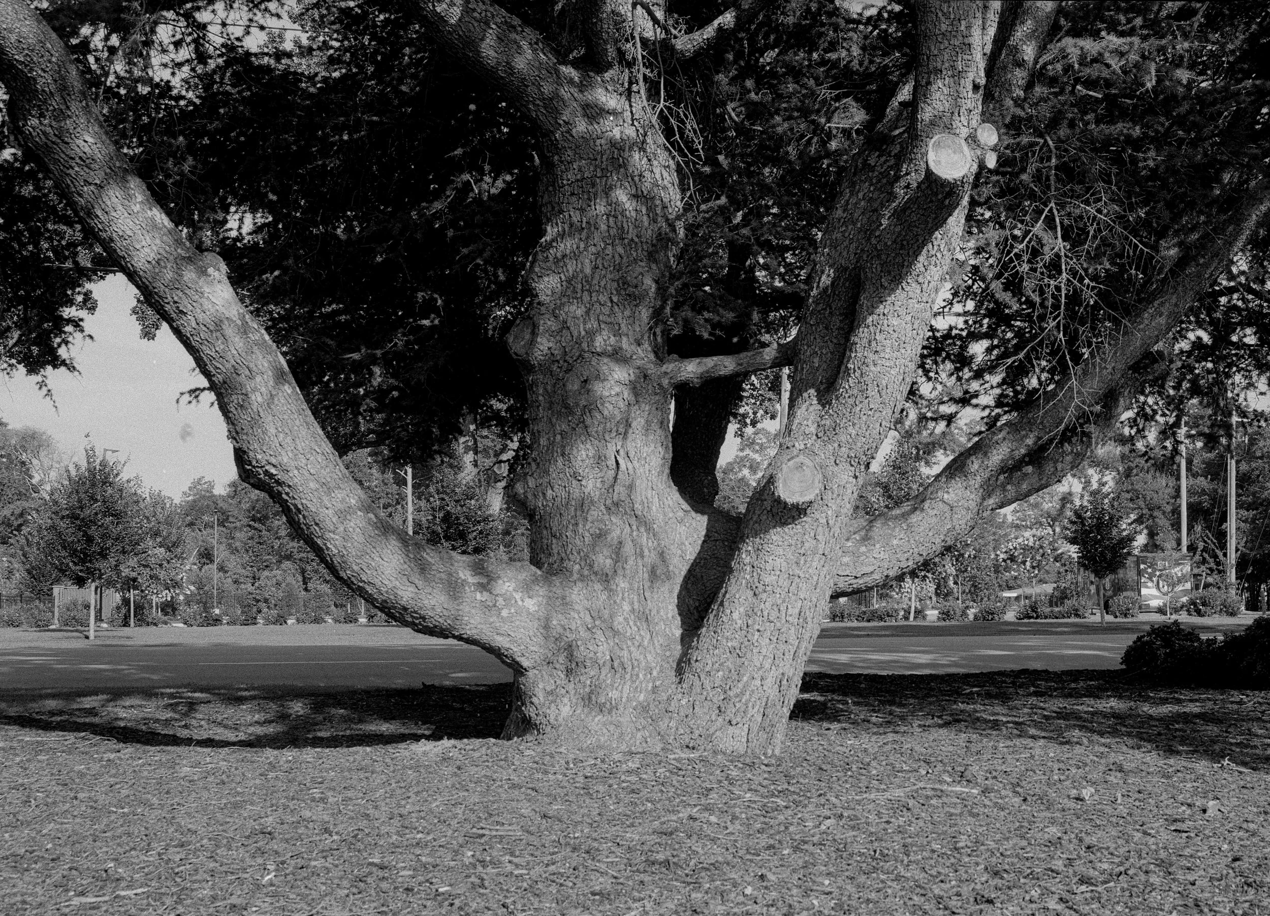 RB67_Ilford_HP5_400_ 1.jpg