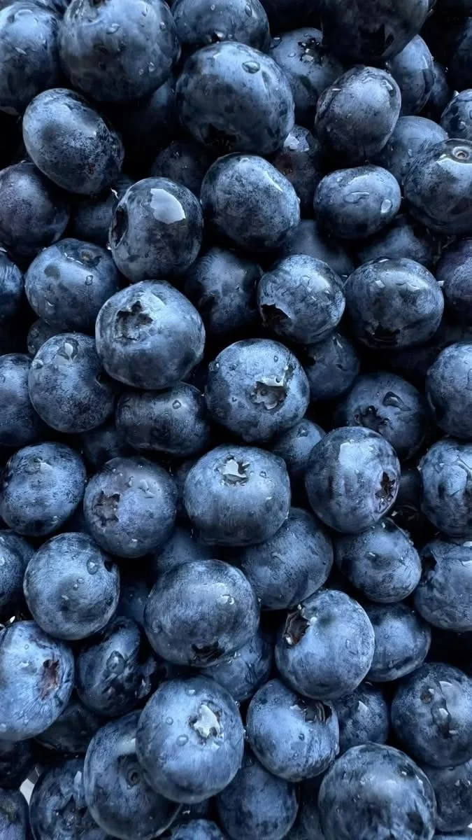 Close-up of a pile of fresh blueberries with water droplets.