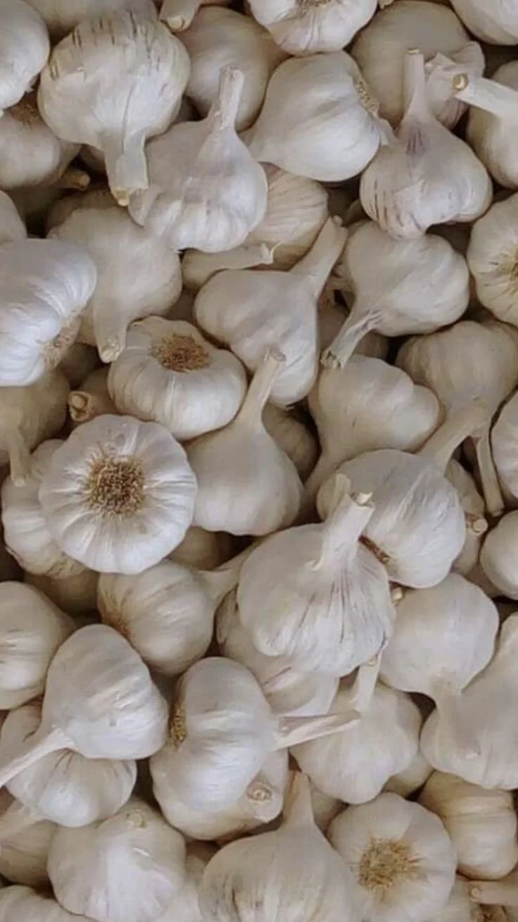 A pile of whole garlic bulbs with white papery skin.