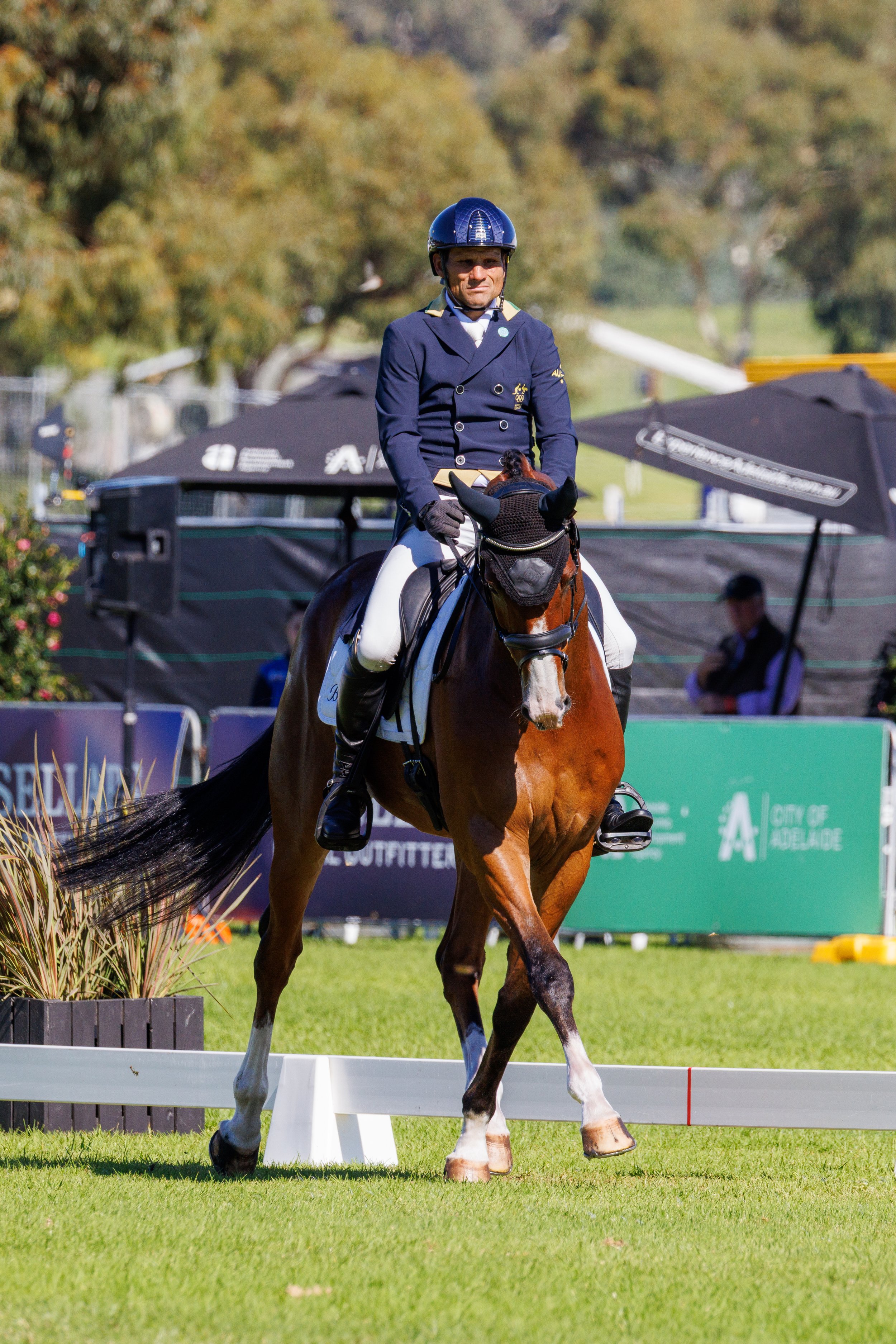 Equestrian rider in formal uniform riding a horse on a grassy field during a competition.