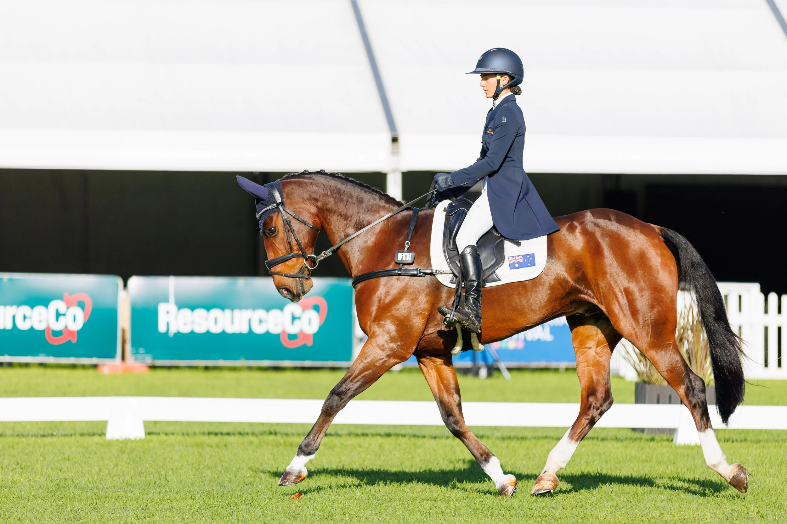 Lamoza Velisha riding Call Me Cooley at 2026 Adelaide Equestrian Festival