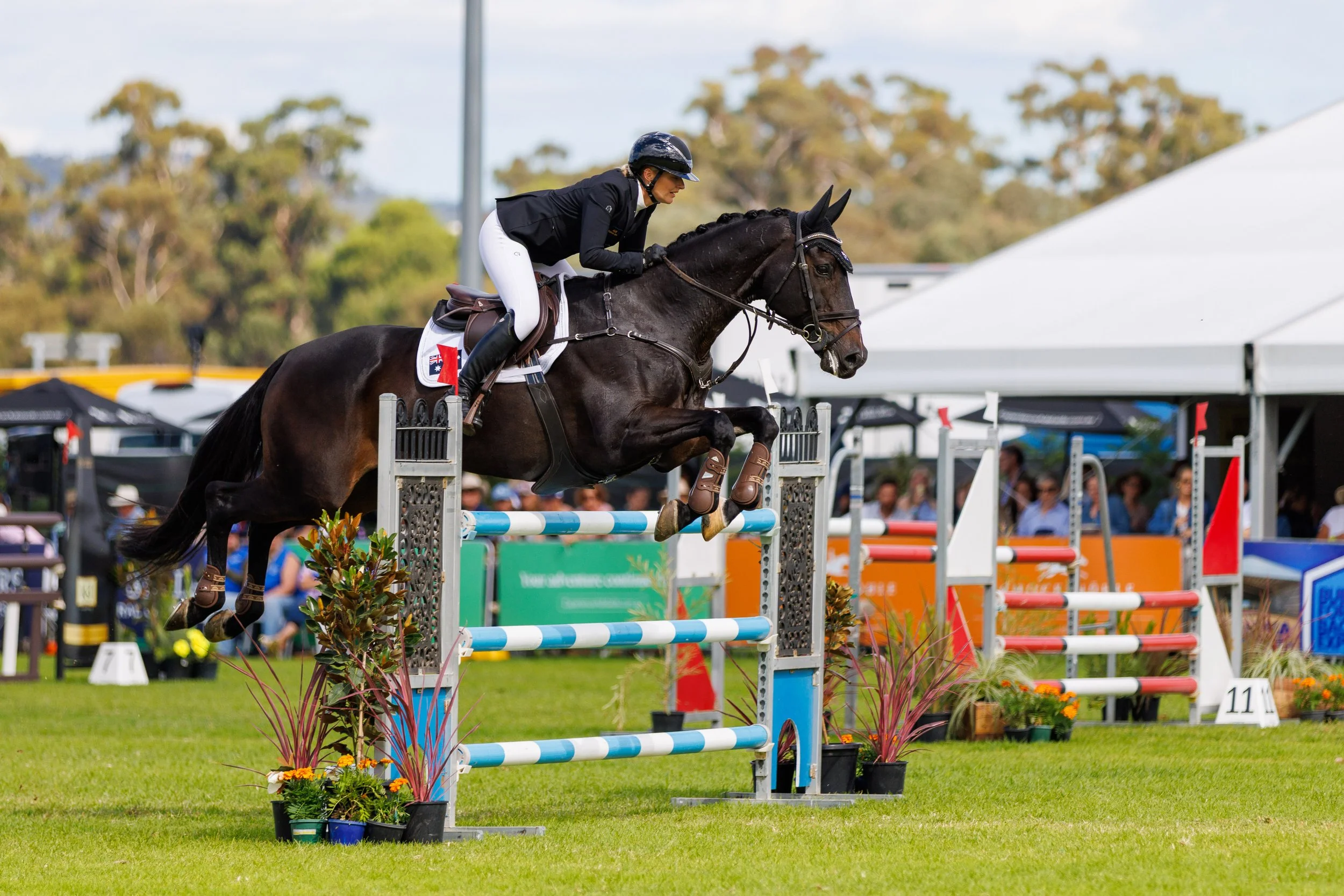 A rider dressed in black and white gear guides a dark brown horse over a show jumping obstacle at an outdoor equestrian competition, with spectators and tents in the background.
