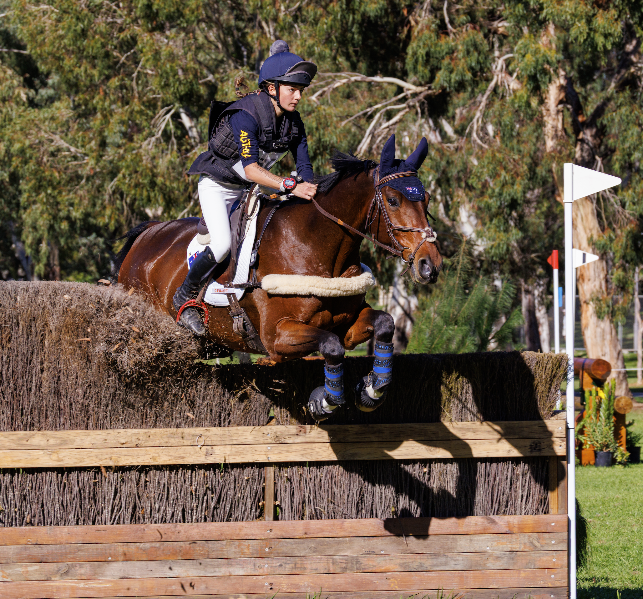 Equestrian rider and horse during a cross-country jumping event.