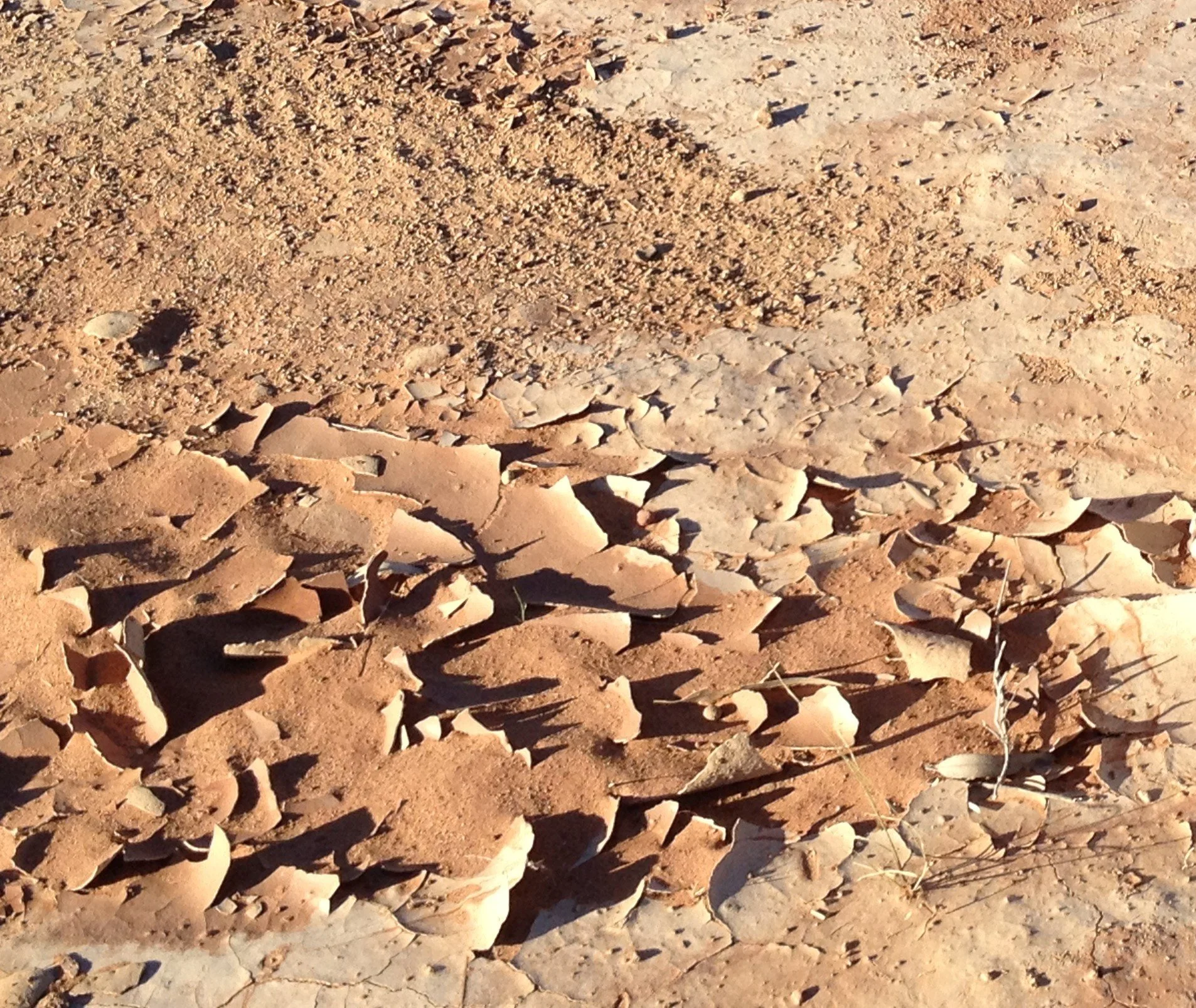 Close-up of cracked dry clay-earth showing a dry, cracked soil surface.
