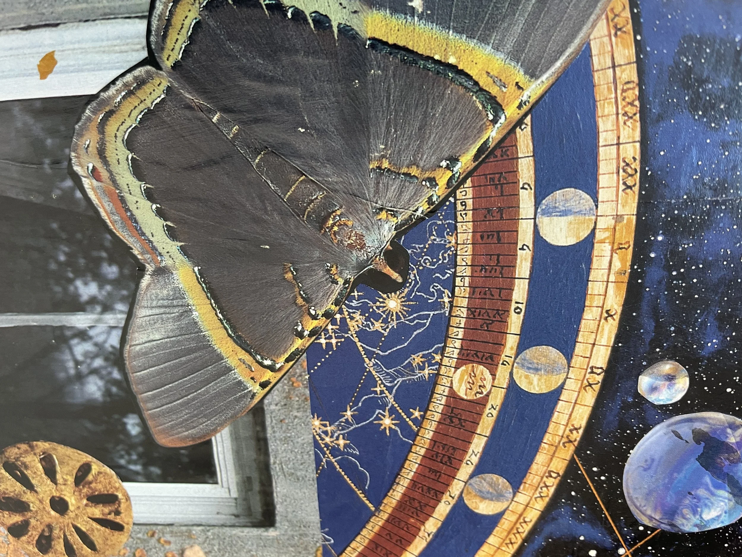 Collage image; Close-up of a decorated moth-shaped board and celestial and zodiac designs painted underneath, featuring a rainbow, stars, and cosmic patterns.