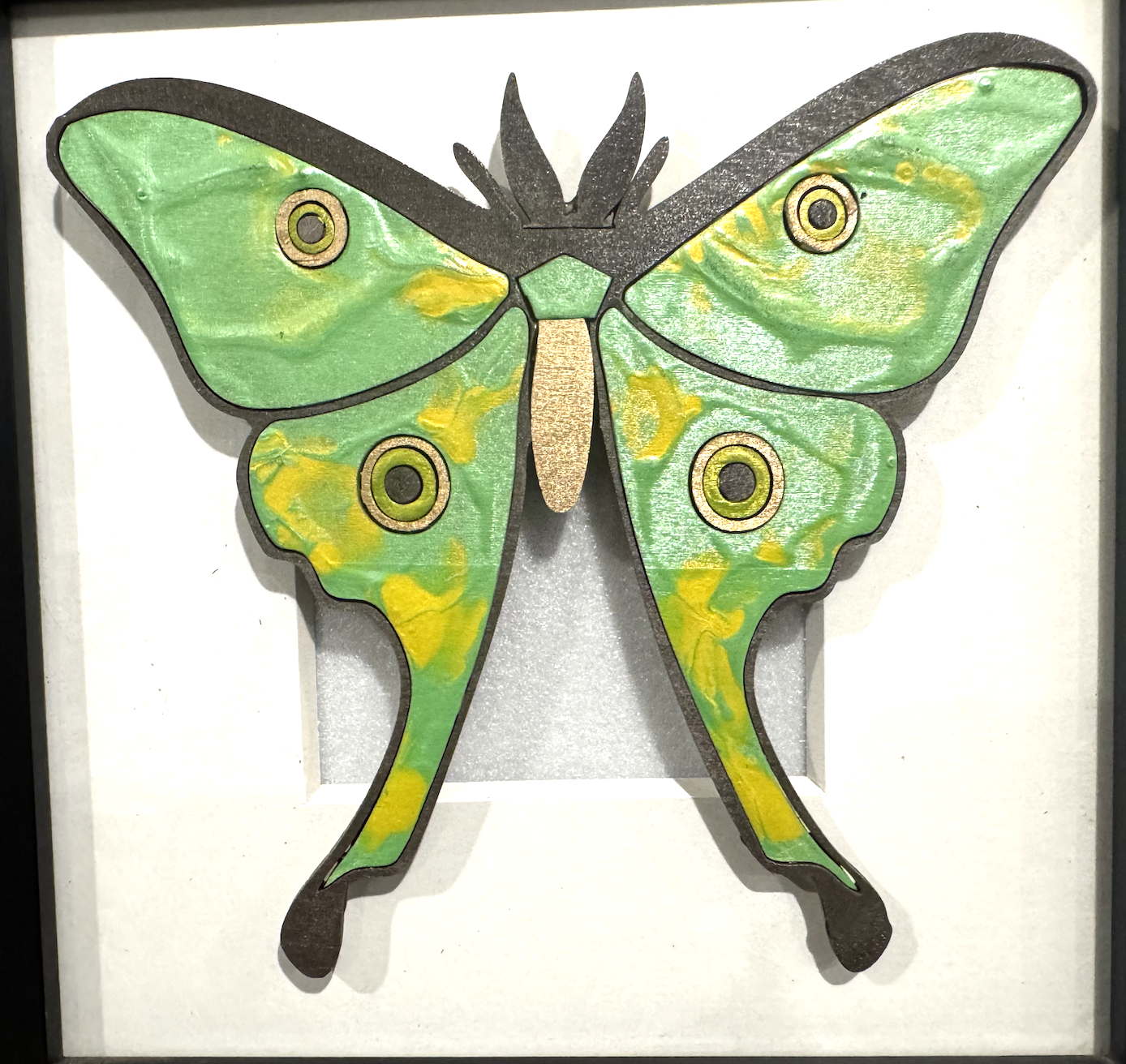 Luna Moth