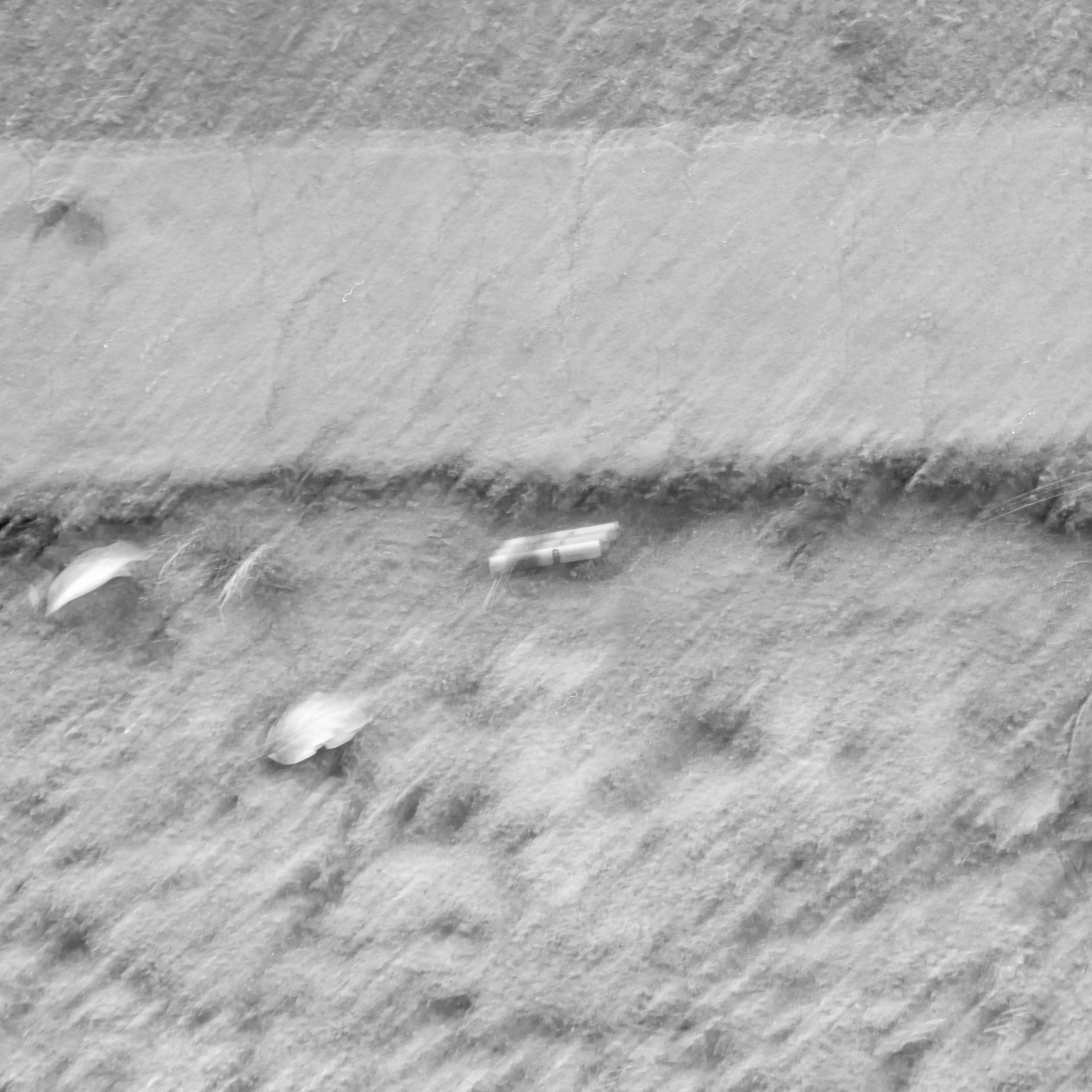 Close-up of a concrete surface with some small objects, possibly small rocks or debris, scattered on it.