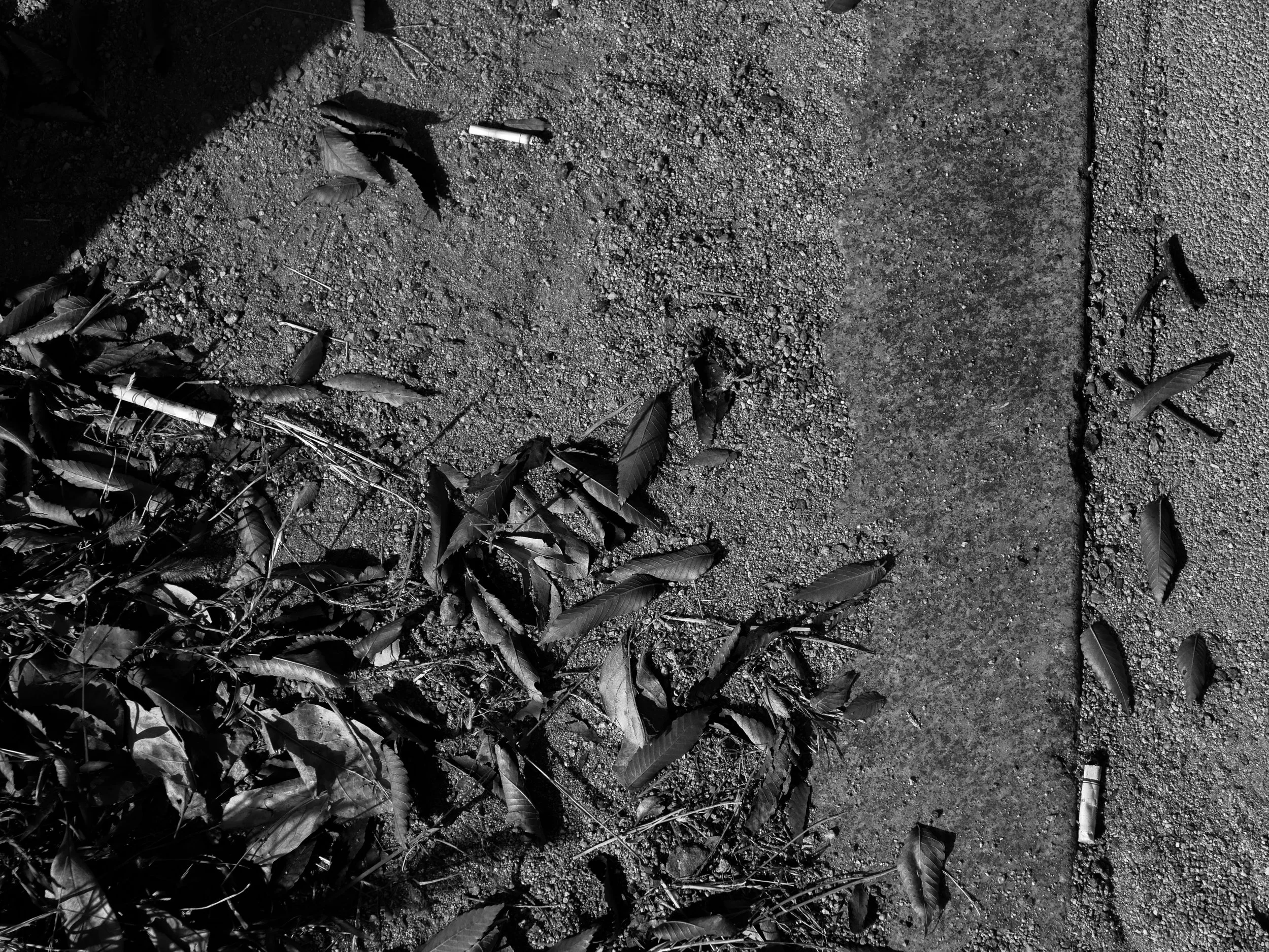 Black and white photo of a dirt ground with some scattered leaves and a discarded cigarette butt.