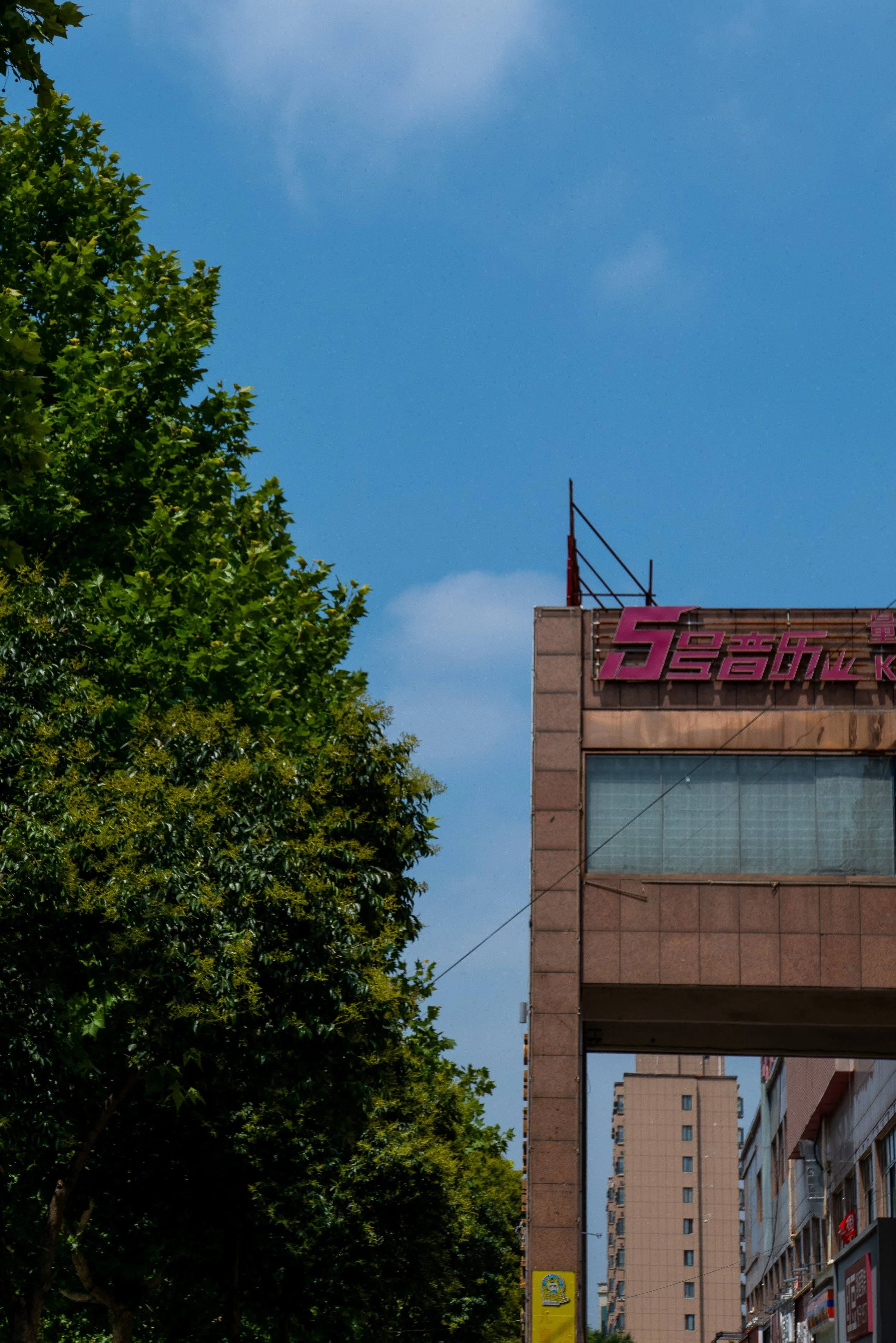 P1068615.jpg