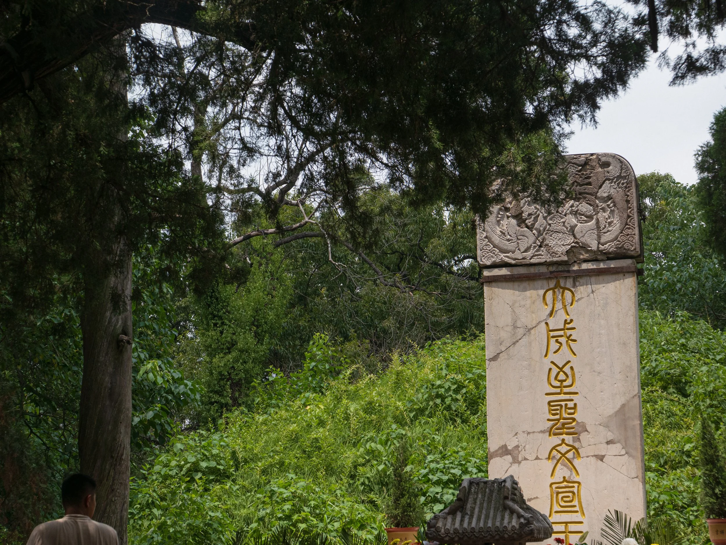 P1068958.jpg