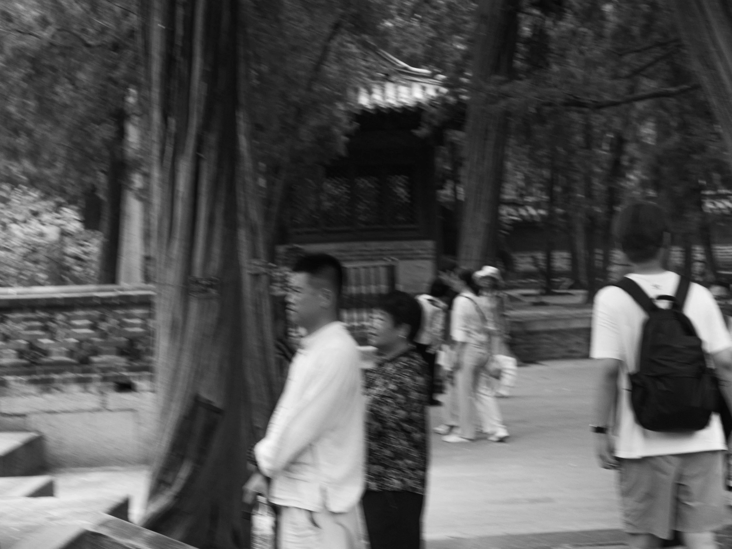 P1068957.jpg
