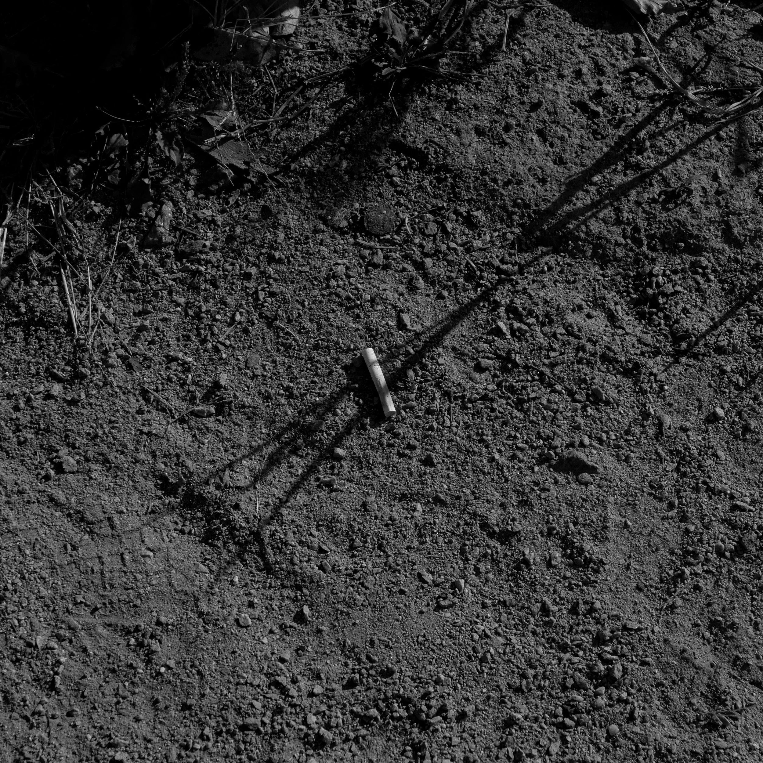 Close-up of rocky soil with scattered dried plant leaves and a single small white stick or piece of debris.
