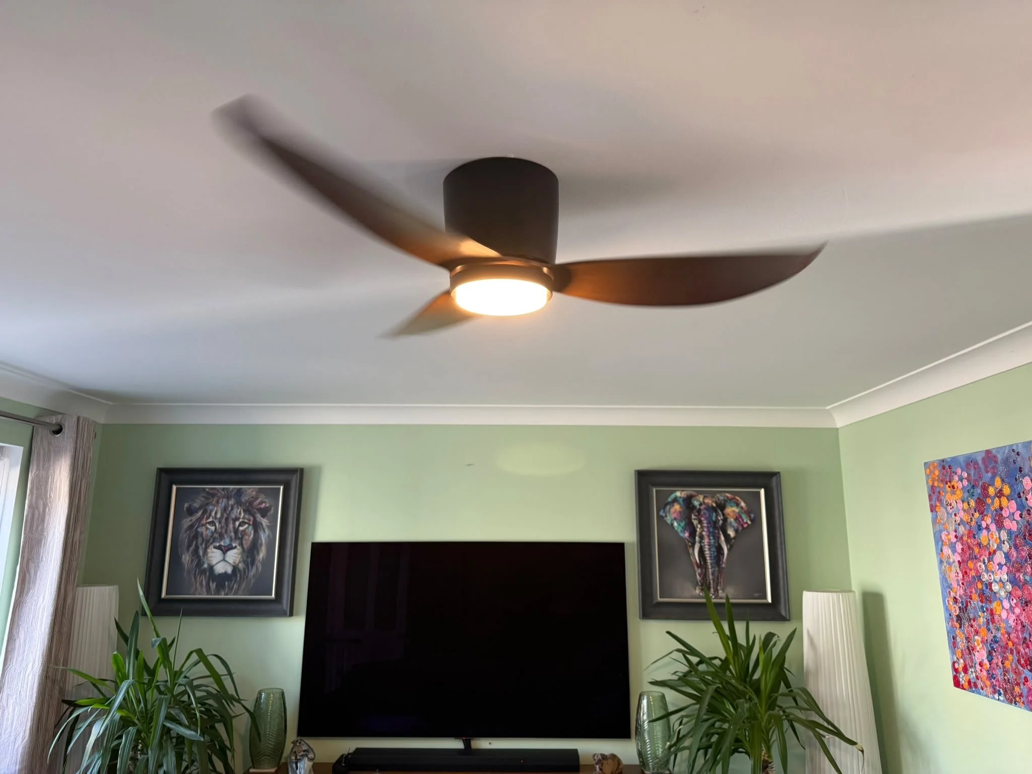 Living room with green walls, framed lion portrait, colorful artwork, potted plants, and a ceiling fan with light.