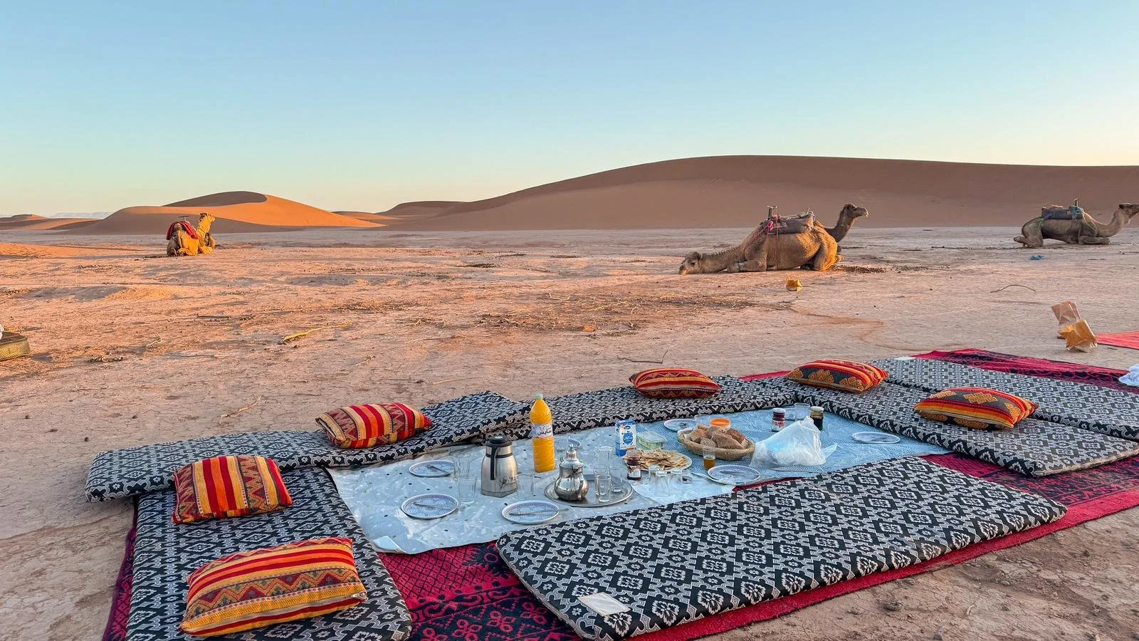 Un pique-nique en plein désert avec des tapis, des coussins et un repas, des dromadaires visibles au loin au coucher du soleil dans un paysage désertique.