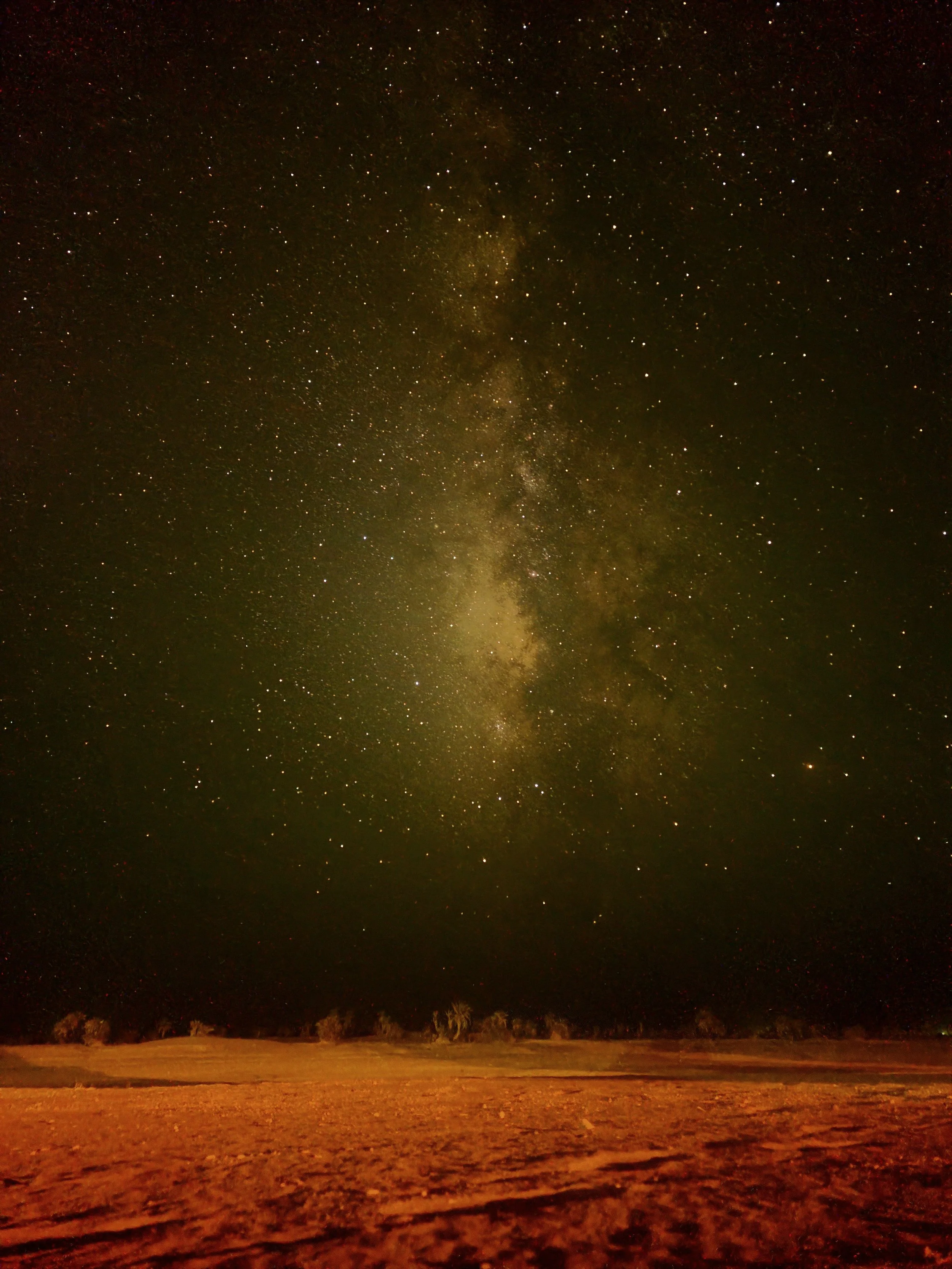 Ciel étoilé avec la Voie lactée visible, horizon avec quelques arbres et terrain désertique en premier plan.