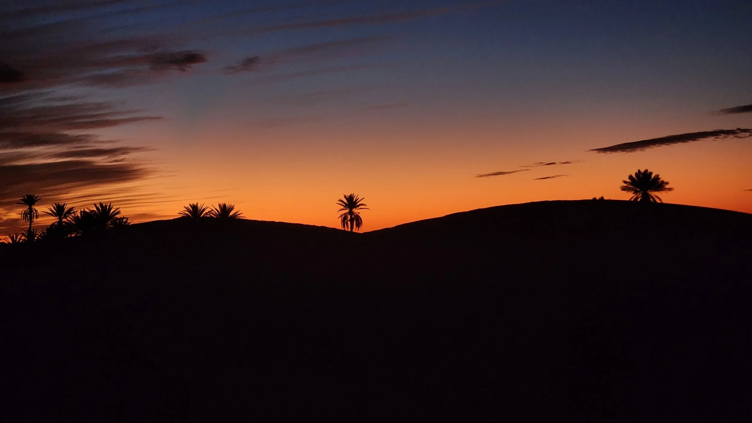 Coucher de soleil avec des palmiers silhouettés sur des dunes de sable.