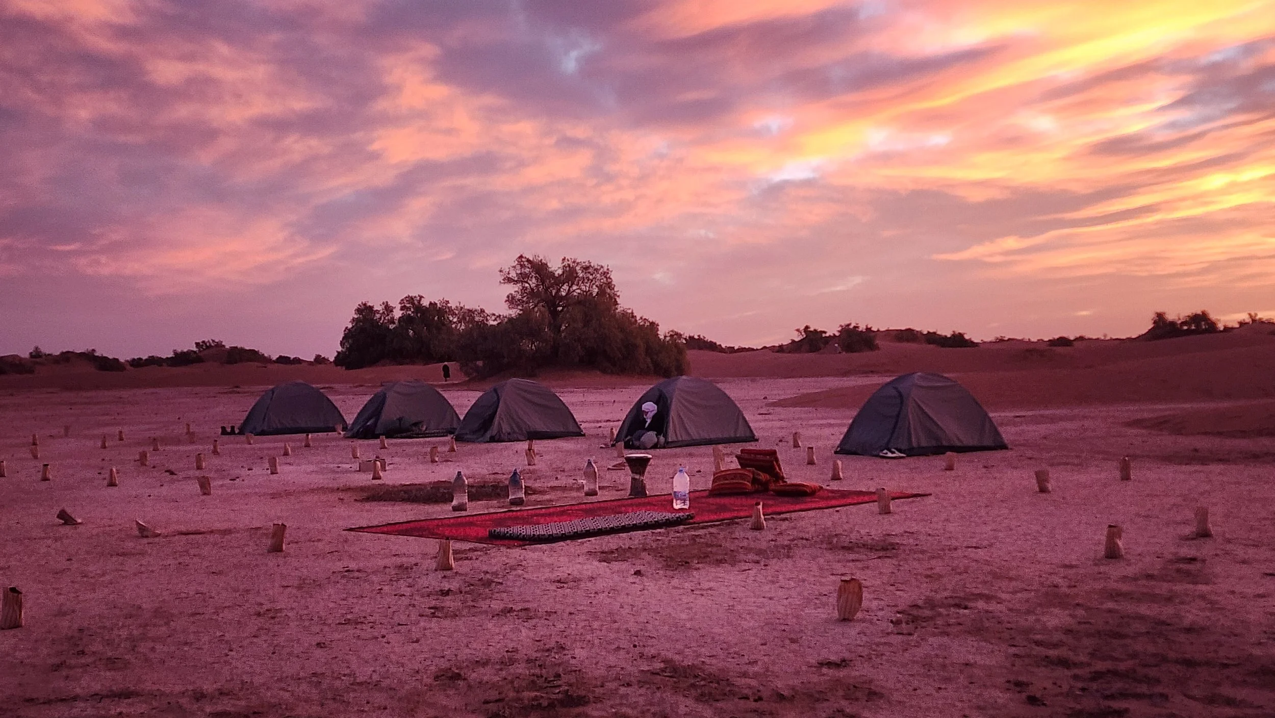 Tentes de camping dans un désert au coucher du soleil avec un ciel rose et orange, et quelques arbres en arrière-plan.