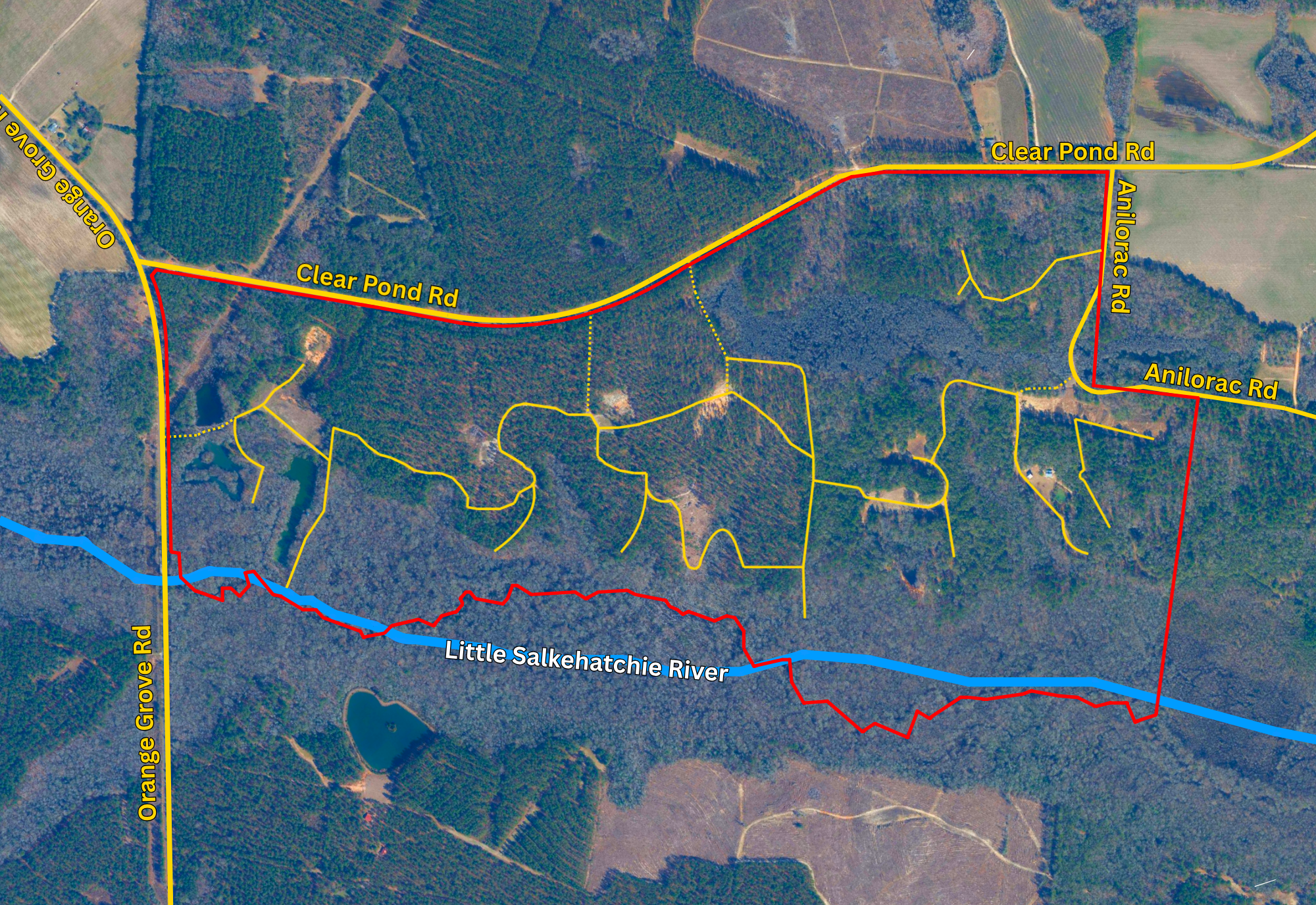 satellite View.png