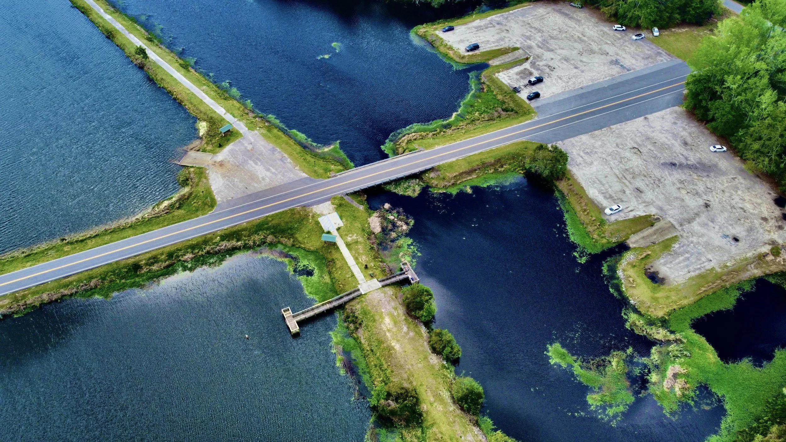 Lake Brown.jpg