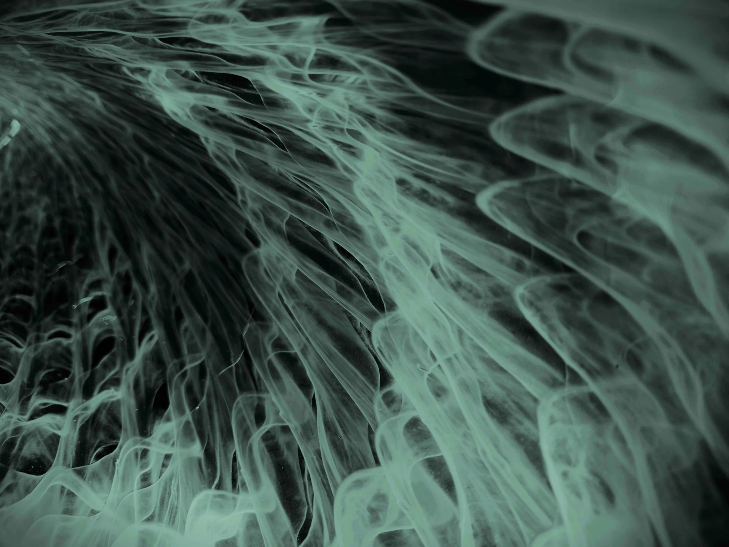 Moodcore P6 abstract glass art print in sage greentones for interior design projects.