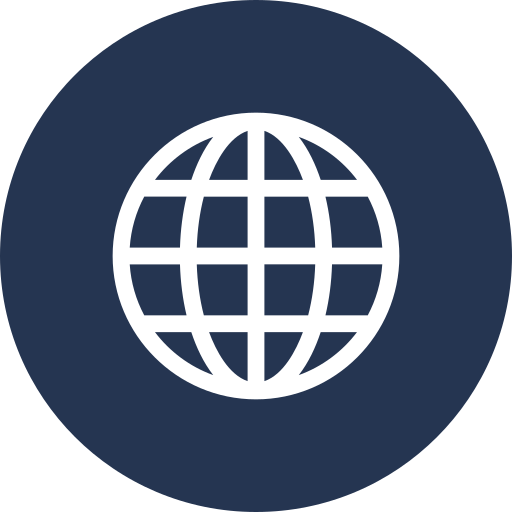 Icon of a globe with gridlines representing the internet or worldwide connectivity.