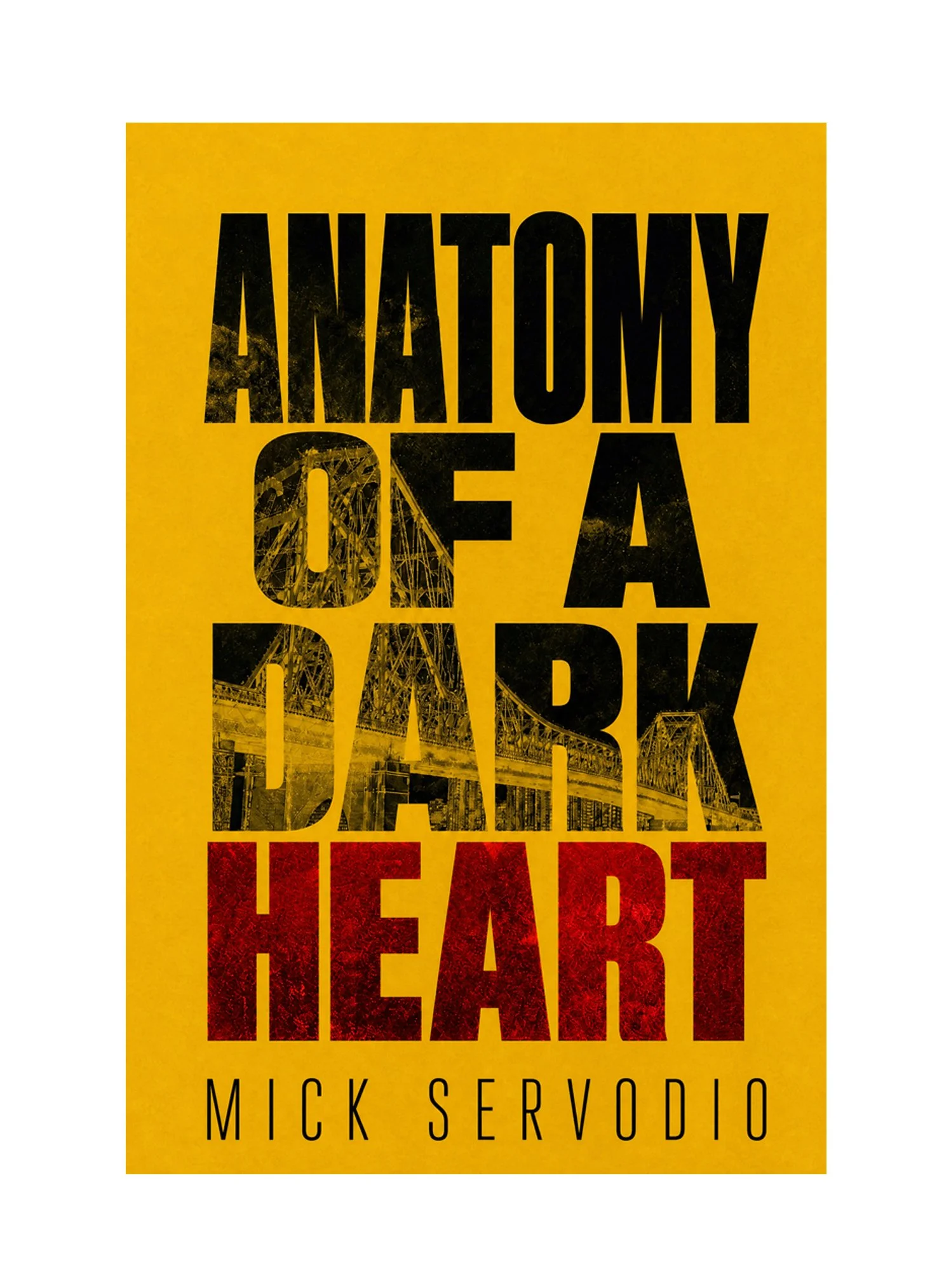 Paperback Novel