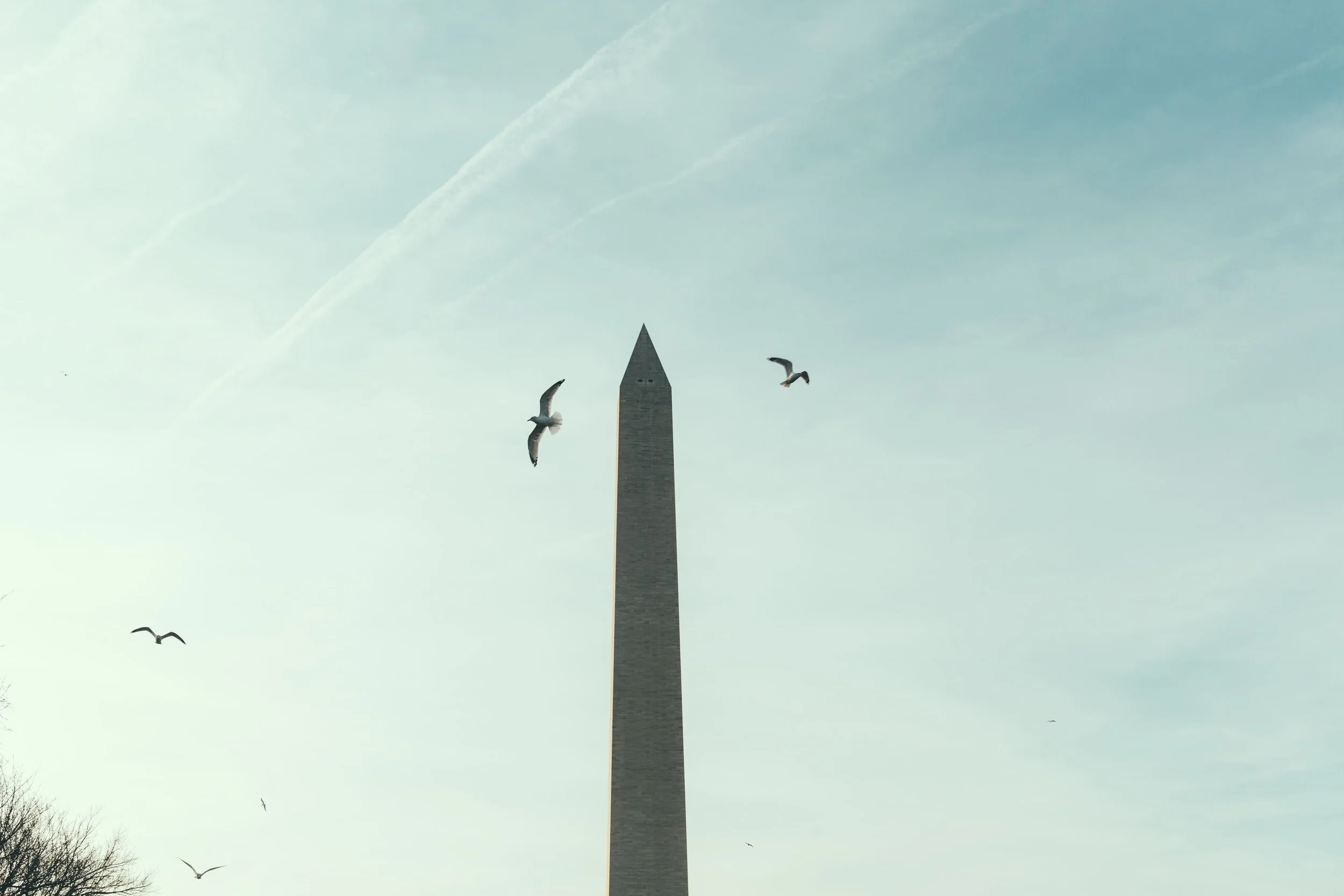 TRAVELUSA26.jpg