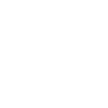 Knight chess piece icon