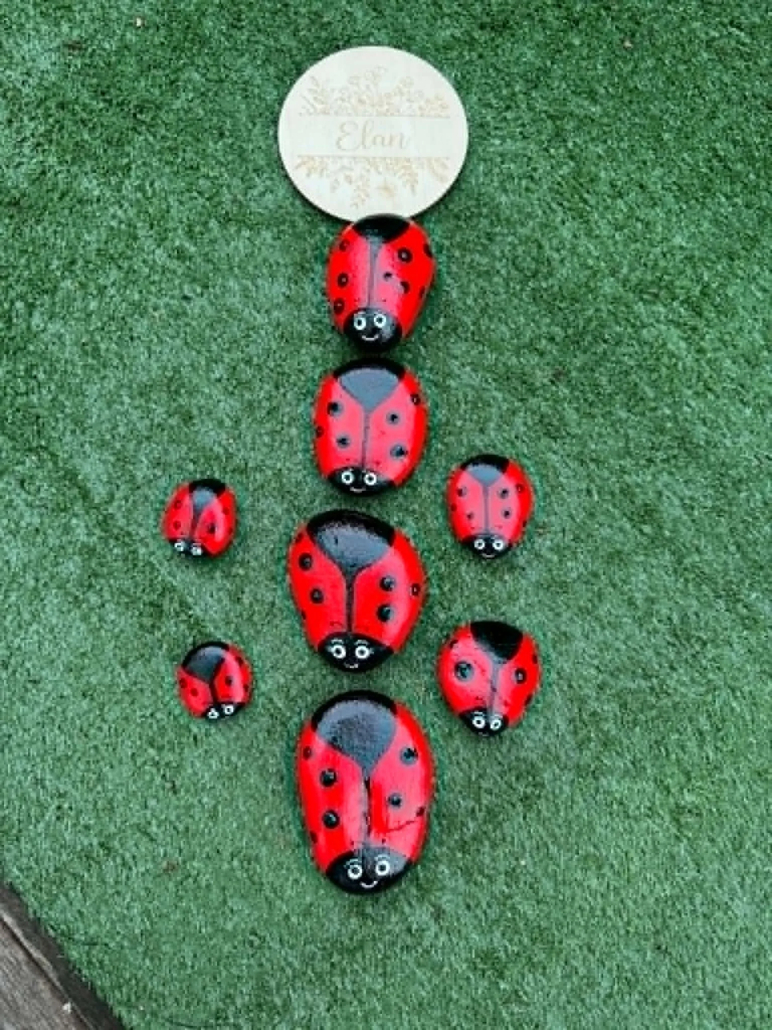 Hand painted Red Ladybird Rocks