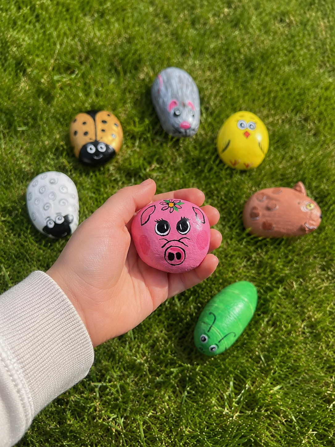Hand-Painted Animal Rocks