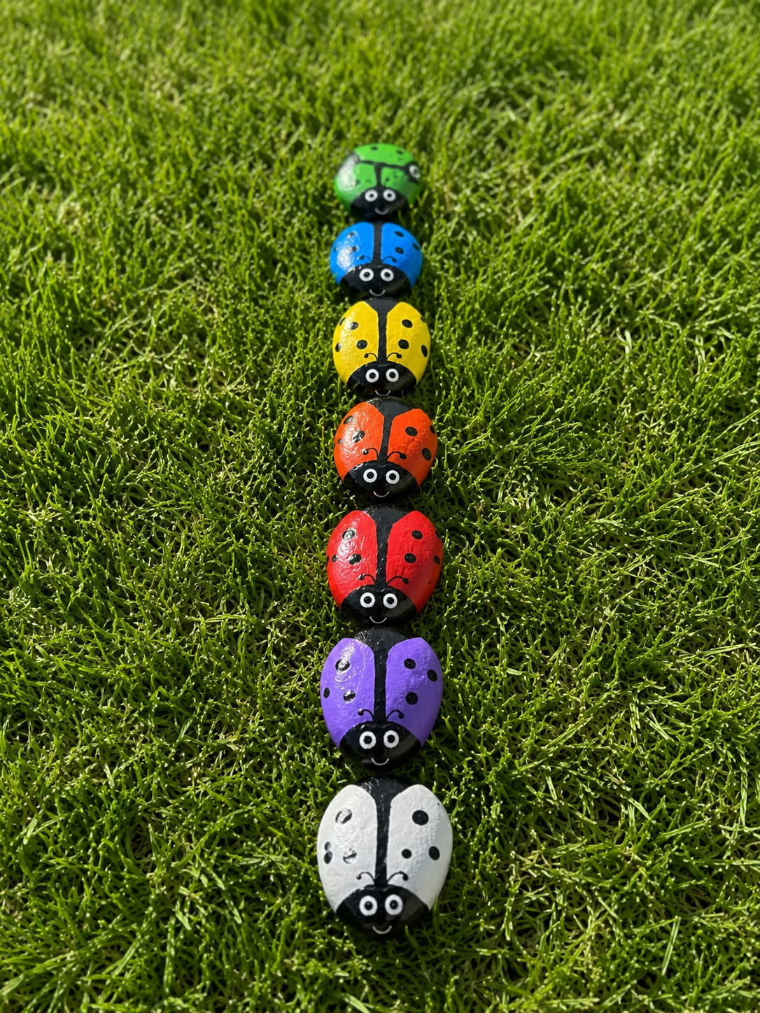 Hand-Painted Coloured Ladybirds